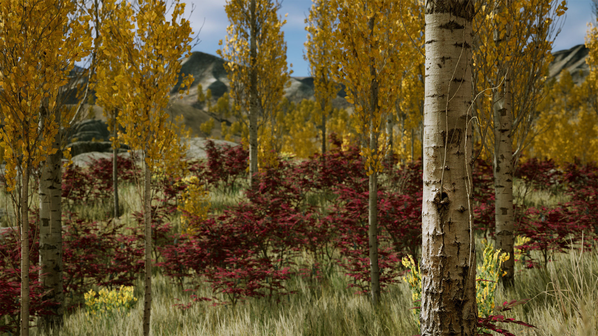Scanned Poplar-Aspen Forest with Seasons for Unreal Engine 4 - 5 Low-poly 3D model_13