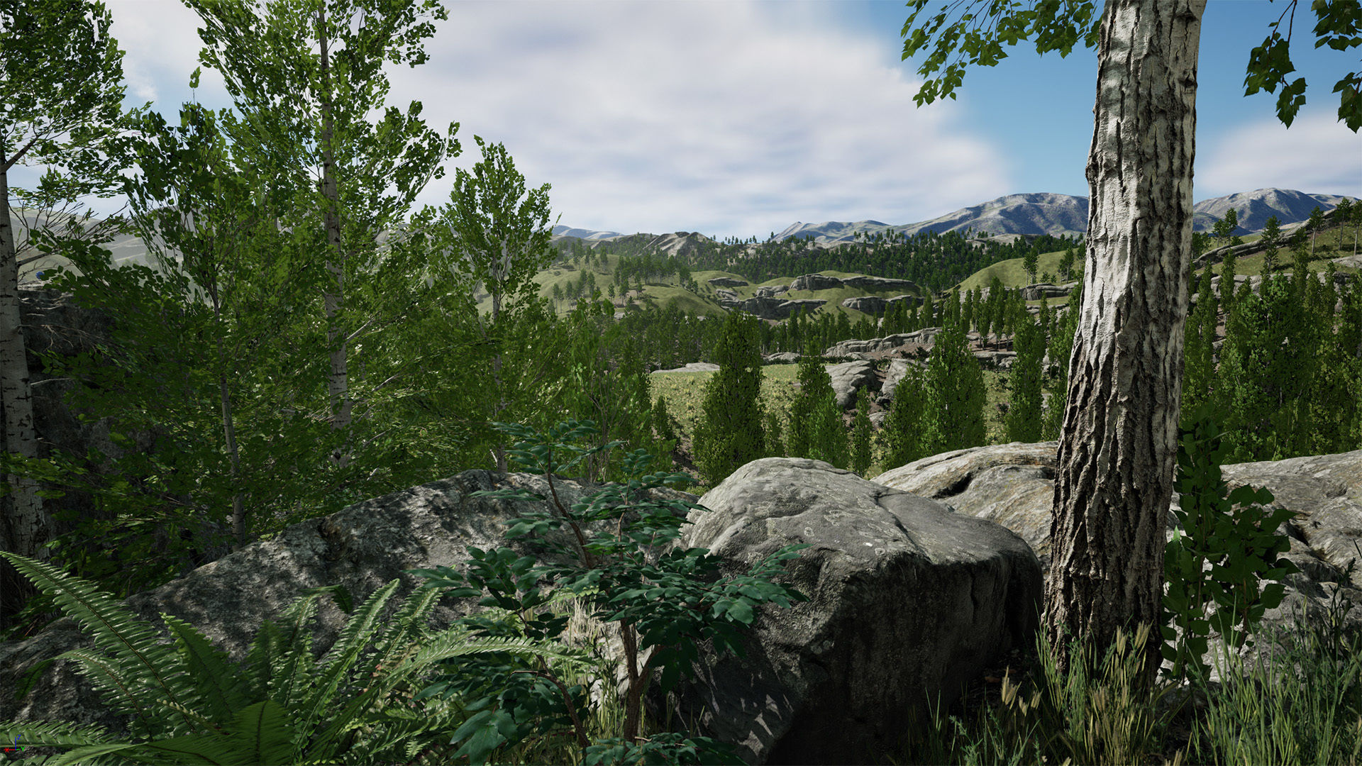 Scanned Poplar-Aspen Forest with Seasons for Unreal Engine 4 - 5 Low-poly 3D model_3