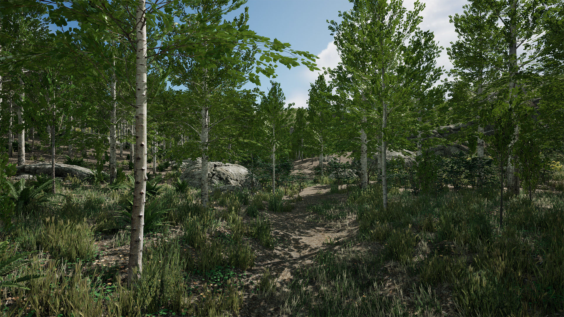 Scanned Poplar-Aspen Forest with Seasons for Unreal Engine 4 - 5 Low-poly 3D model_12