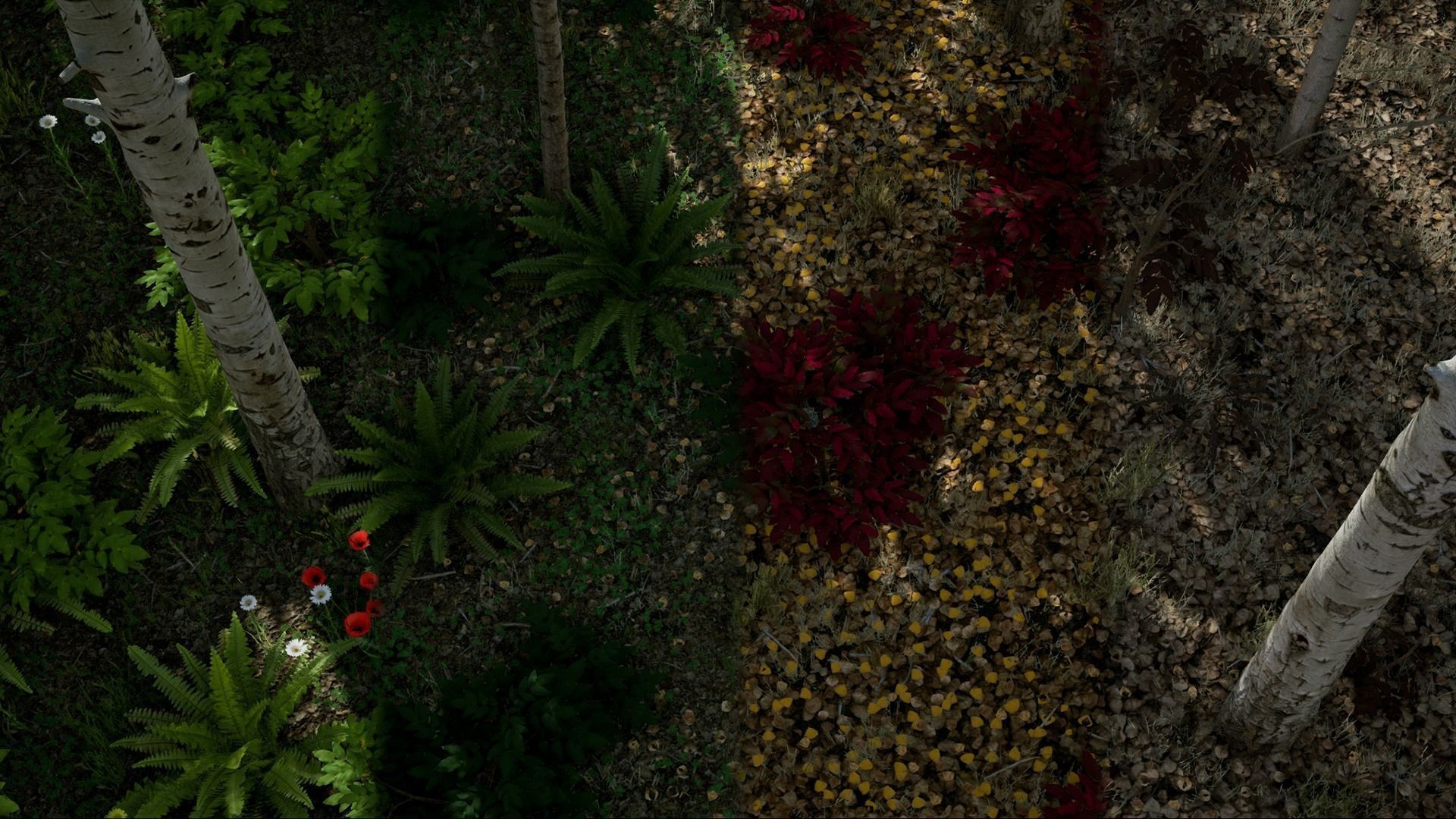 Scanned Poplar-Aspen Forest with Seasons for Unreal Engine 4 - 5 Low-poly 3D model_24