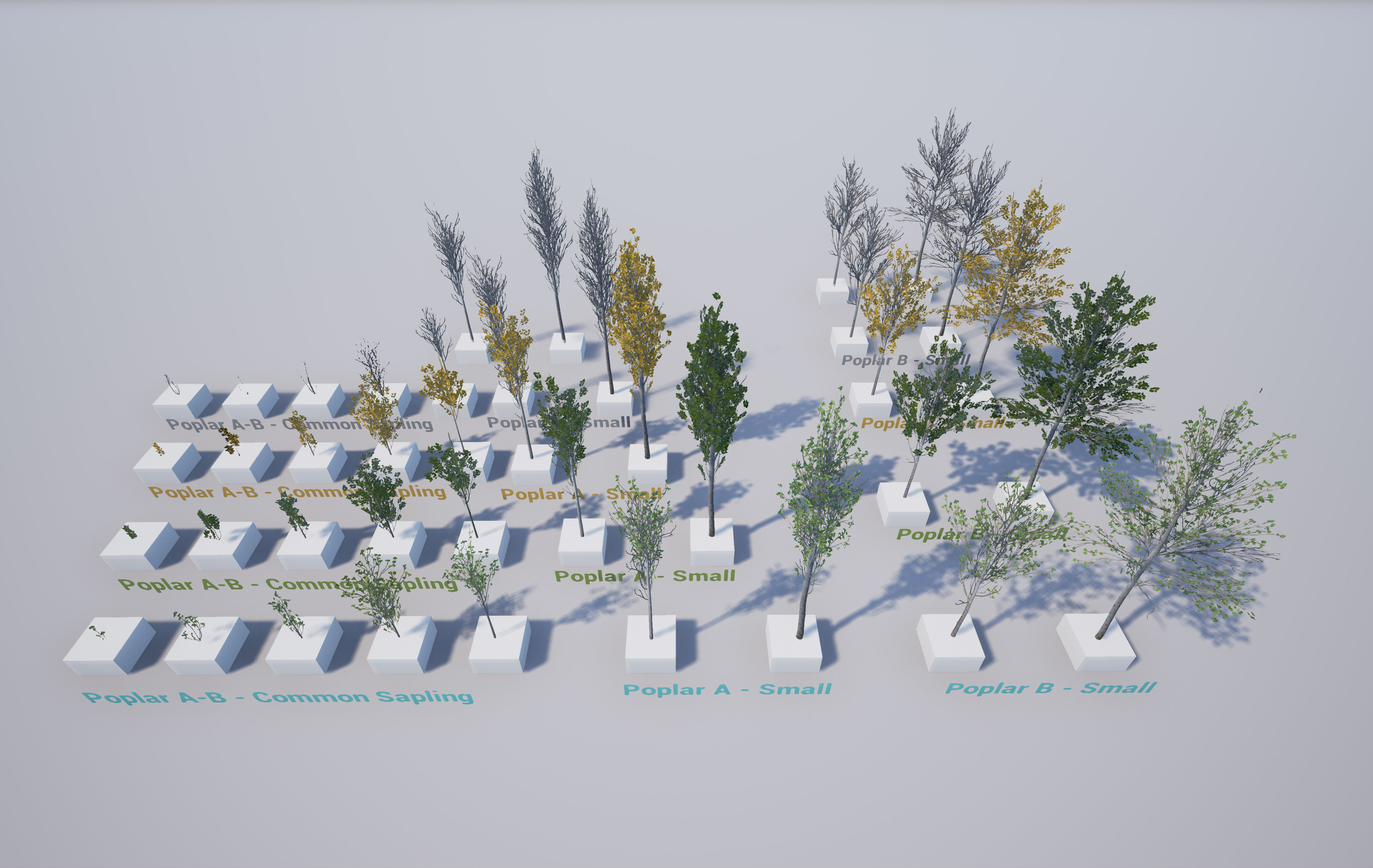 Scanned Poplar-Aspen Forest with Seasons for Unreal Engine 4 - 5 Low-poly 3D model_26