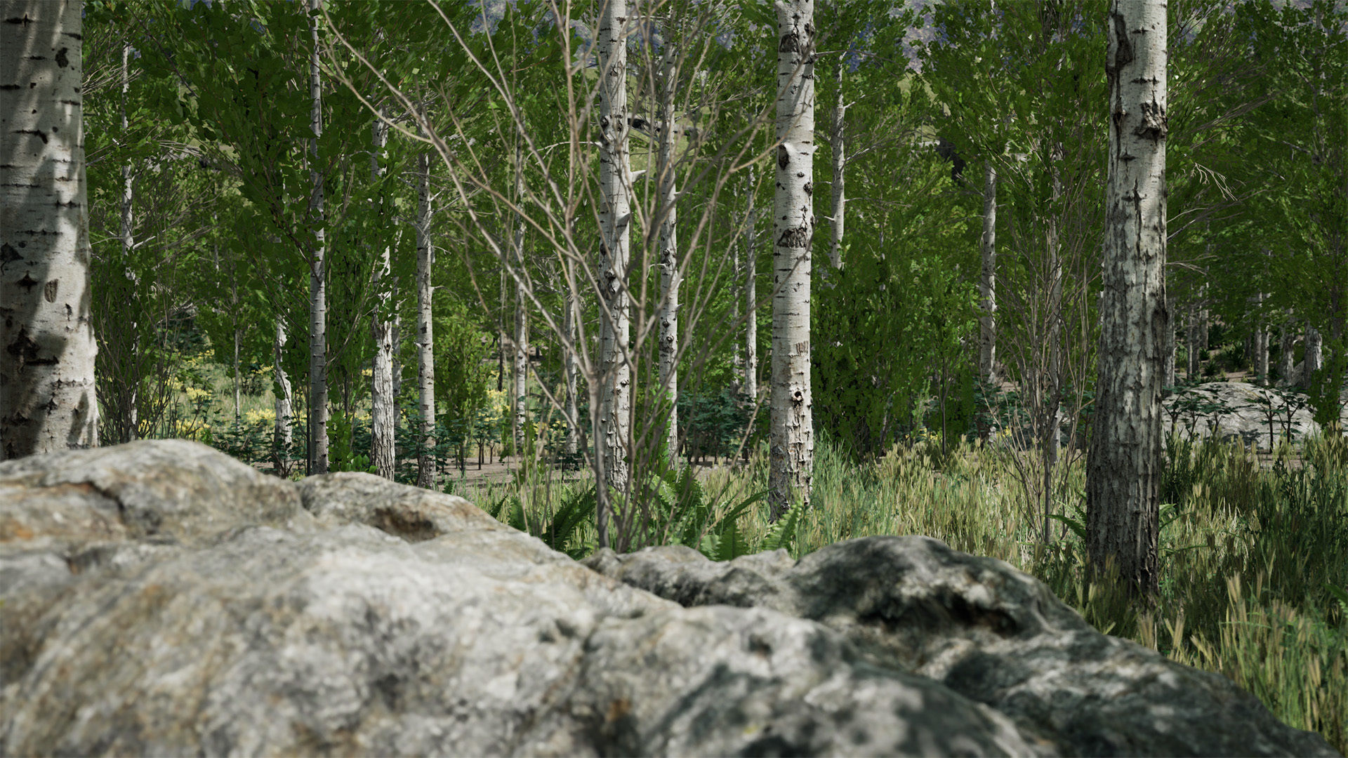 Scanned Poplar-Aspen Forest with Seasons for Unreal Engine 4 - 5 Low-poly 3D model_11