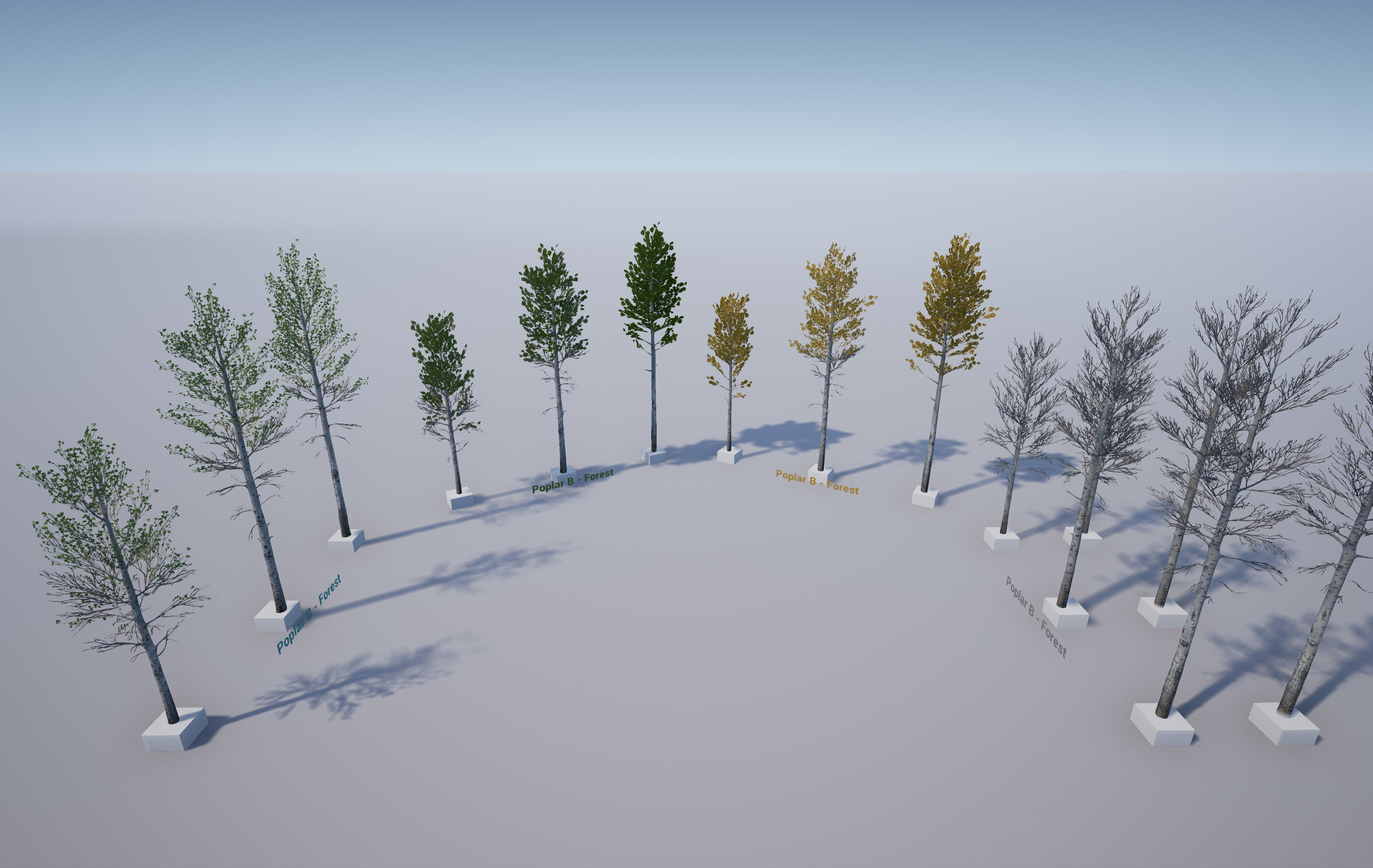 Scanned Poplar-Aspen Forest with Seasons for Unreal Engine 4 - 5 Low-poly 3D model_29