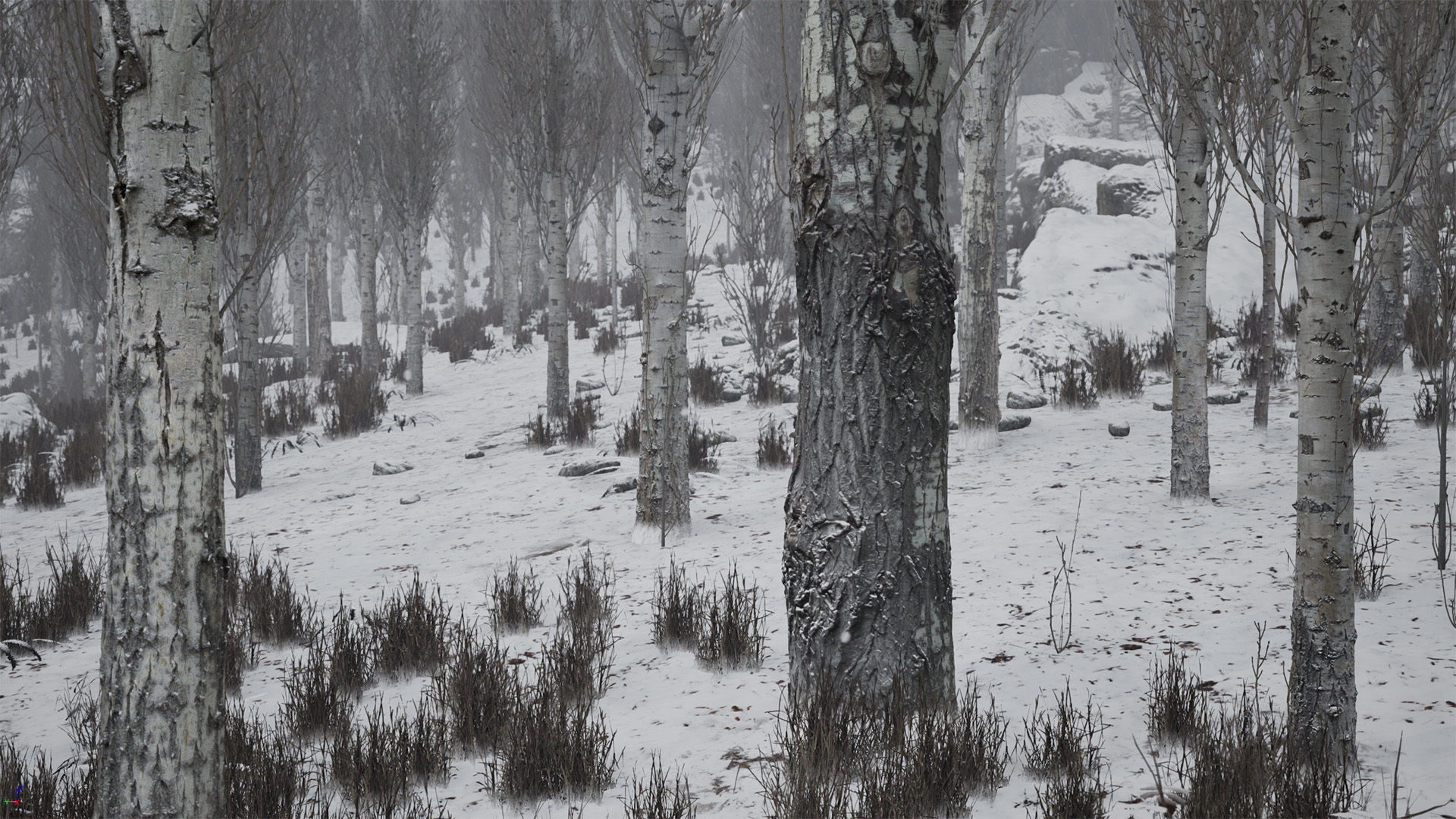 Scanned Poplar-Aspen Forest with Seasons for Unreal Engine 4 - 5 Low-poly 3D model_23