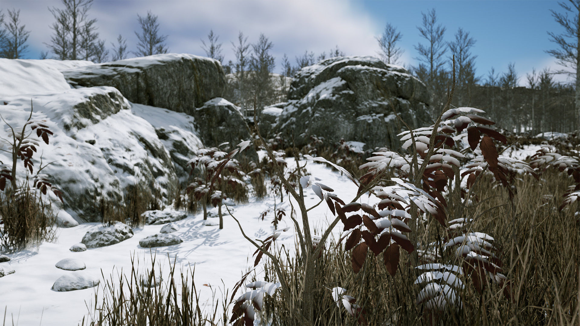 Scanned Poplar-Aspen Forest with Seasons for Unreal Engine 4 - 5 Low-poly 3D model_22