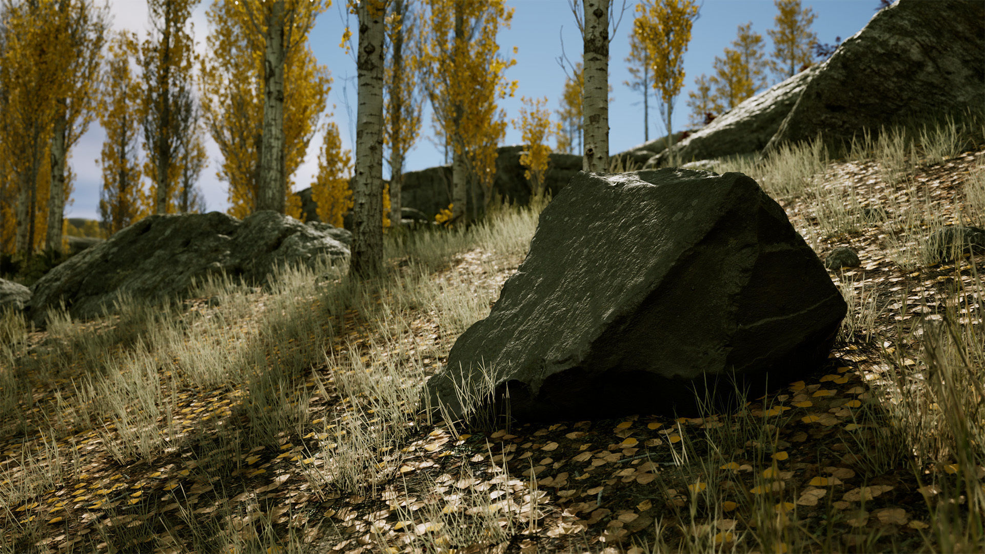 Scanned Poplar-Aspen Forest with Seasons for Unreal Engine 4 - 5 Low-poly 3D model_4