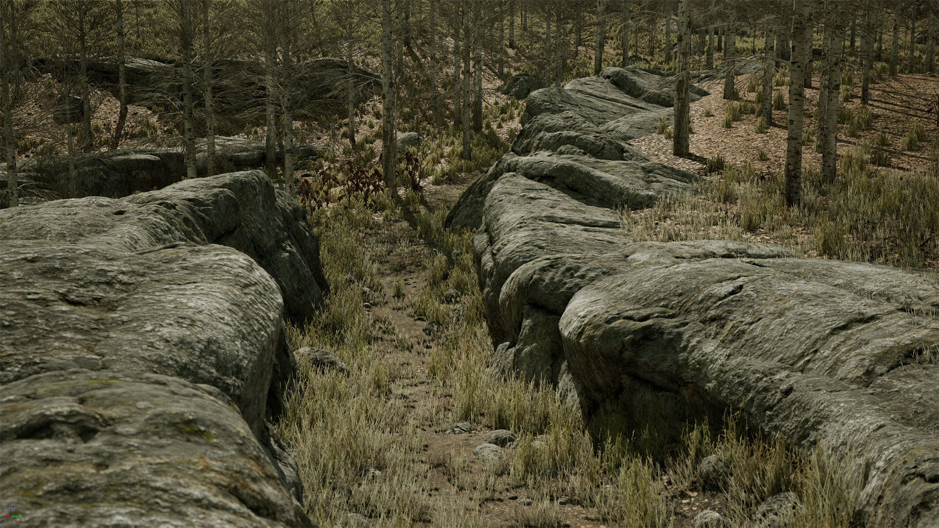 Scanned Poplar-Aspen Forest with Seasons for Unreal Engine 4 - 5 Low-poly 3D model_19