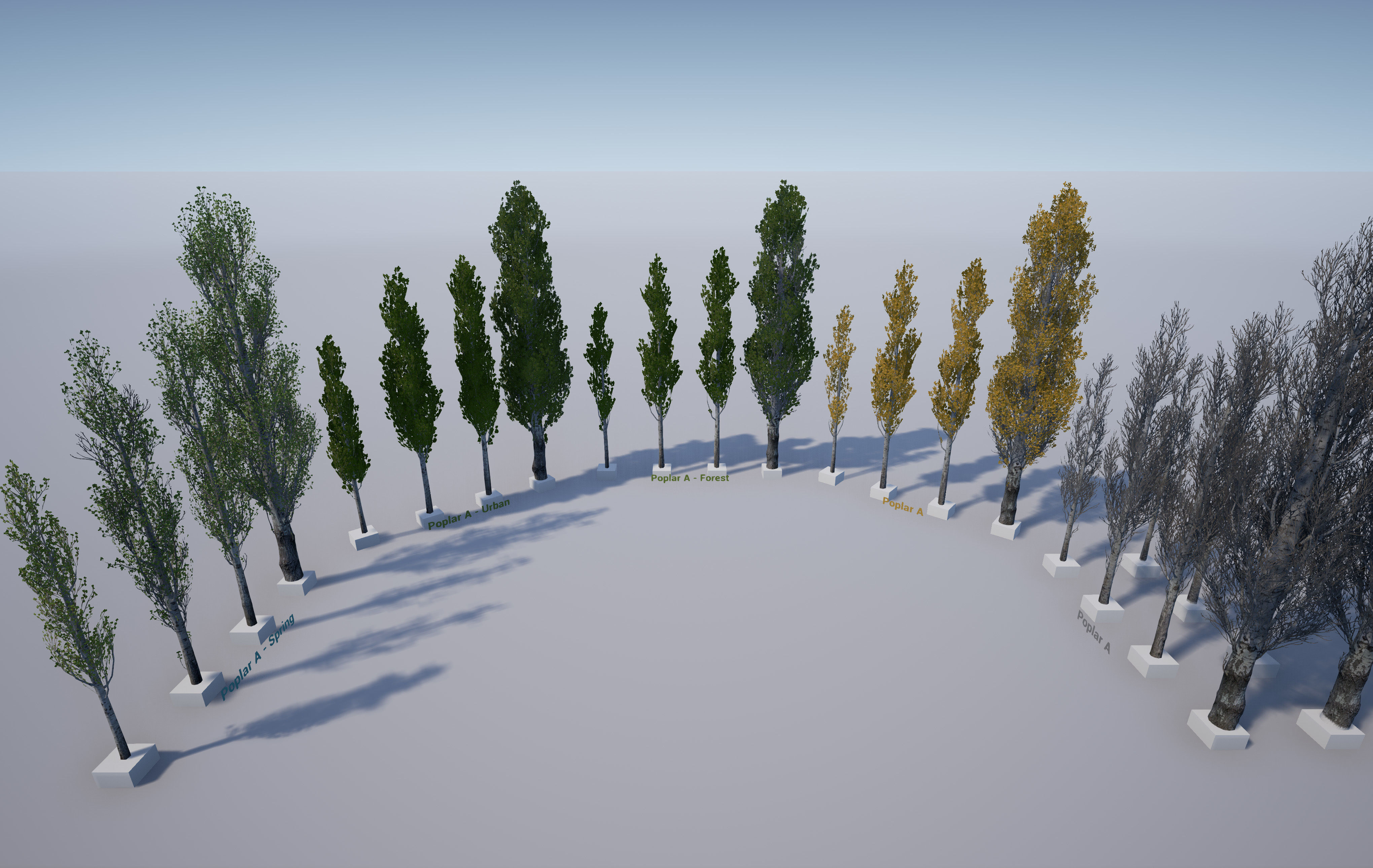 Scanned Poplar-Aspen Forest with Seasons for Unreal Engine 4 - 5 Low-poly 3D model_27