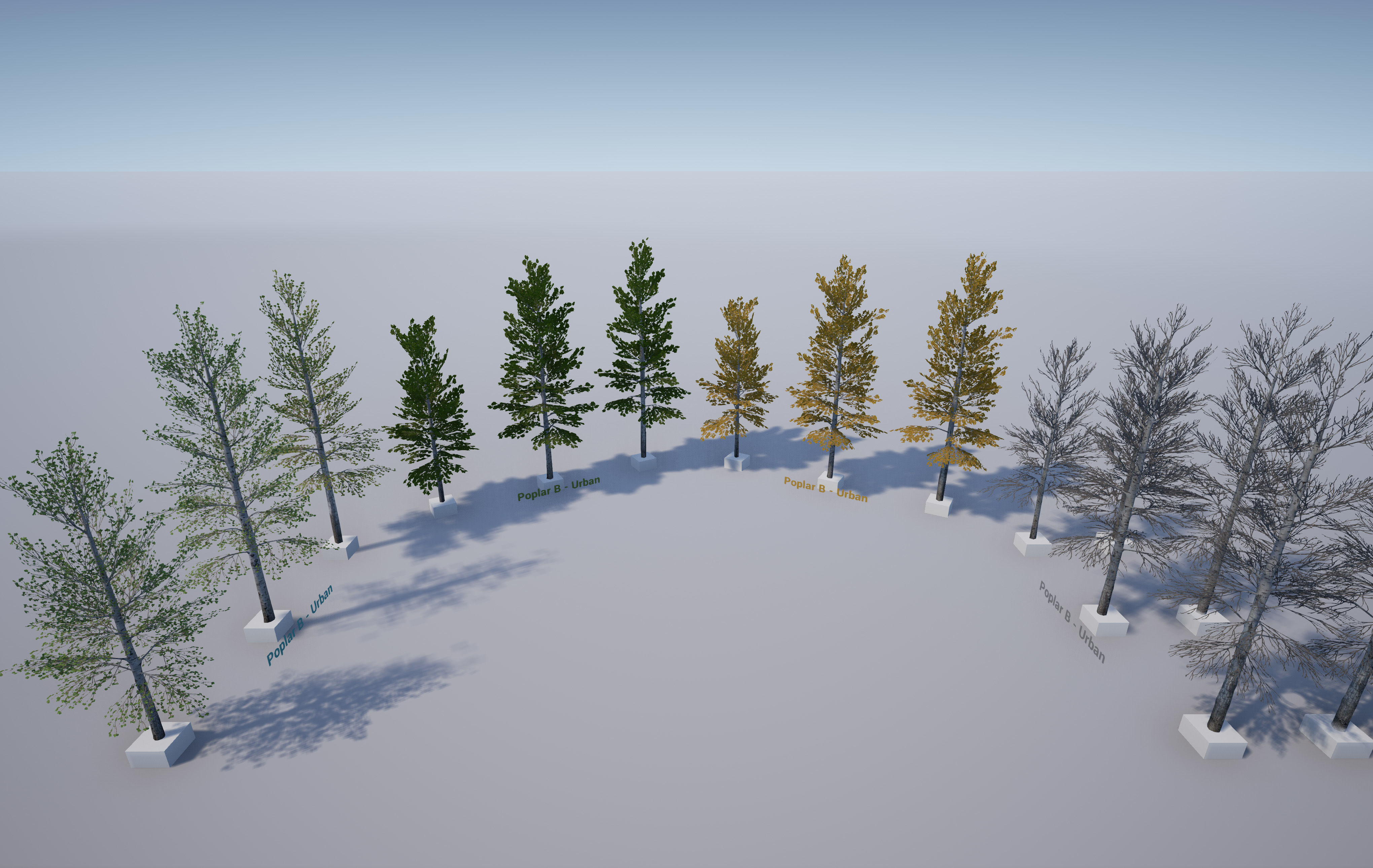 Scanned Poplar-Aspen Forest with Seasons for Unreal Engine 4 - 5 Low-poly 3D model_28
