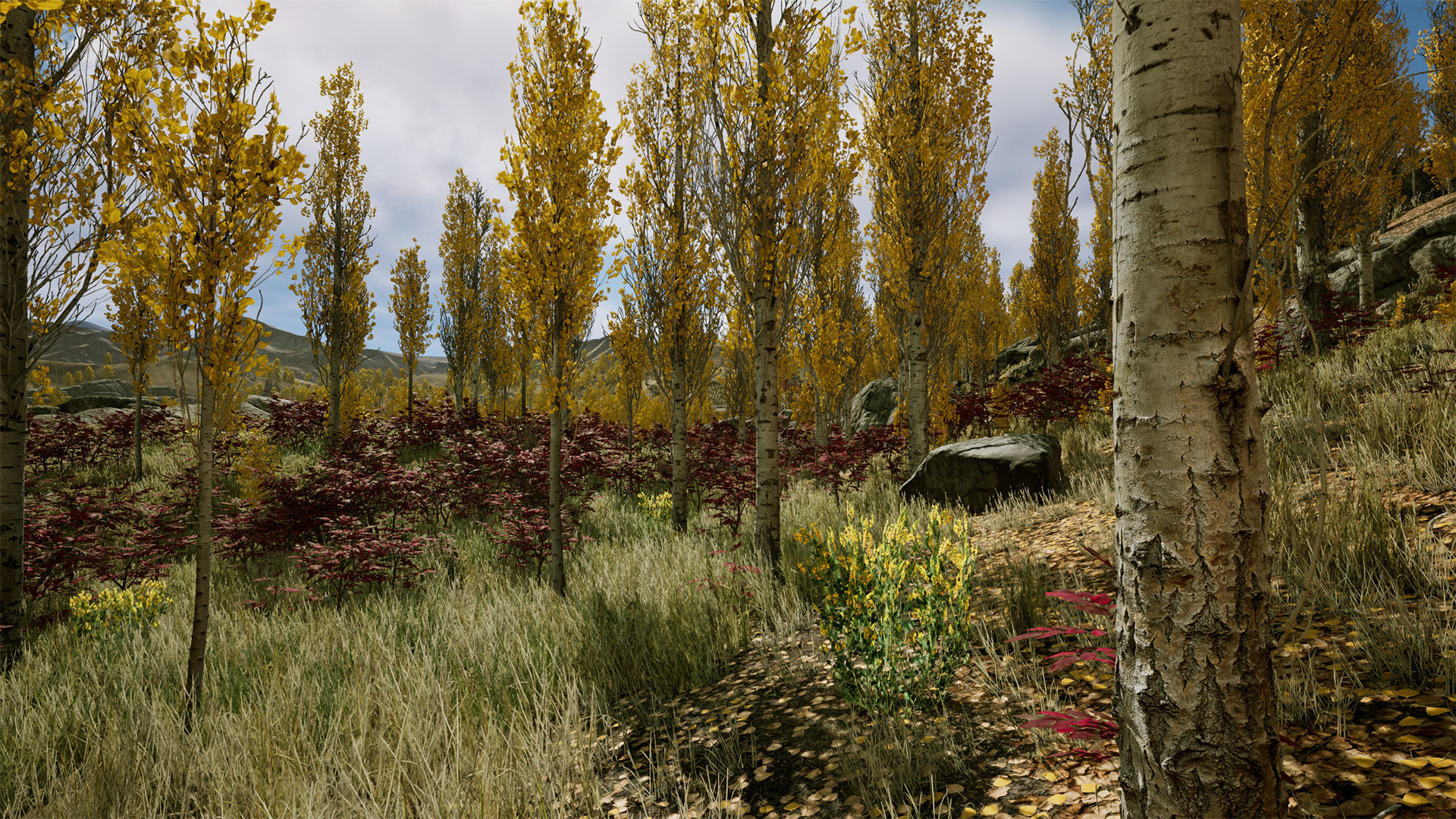 Scanned Poplar-Aspen Forest with Seasons for Unreal Engine 4 - 5 Low-poly 3D model_16