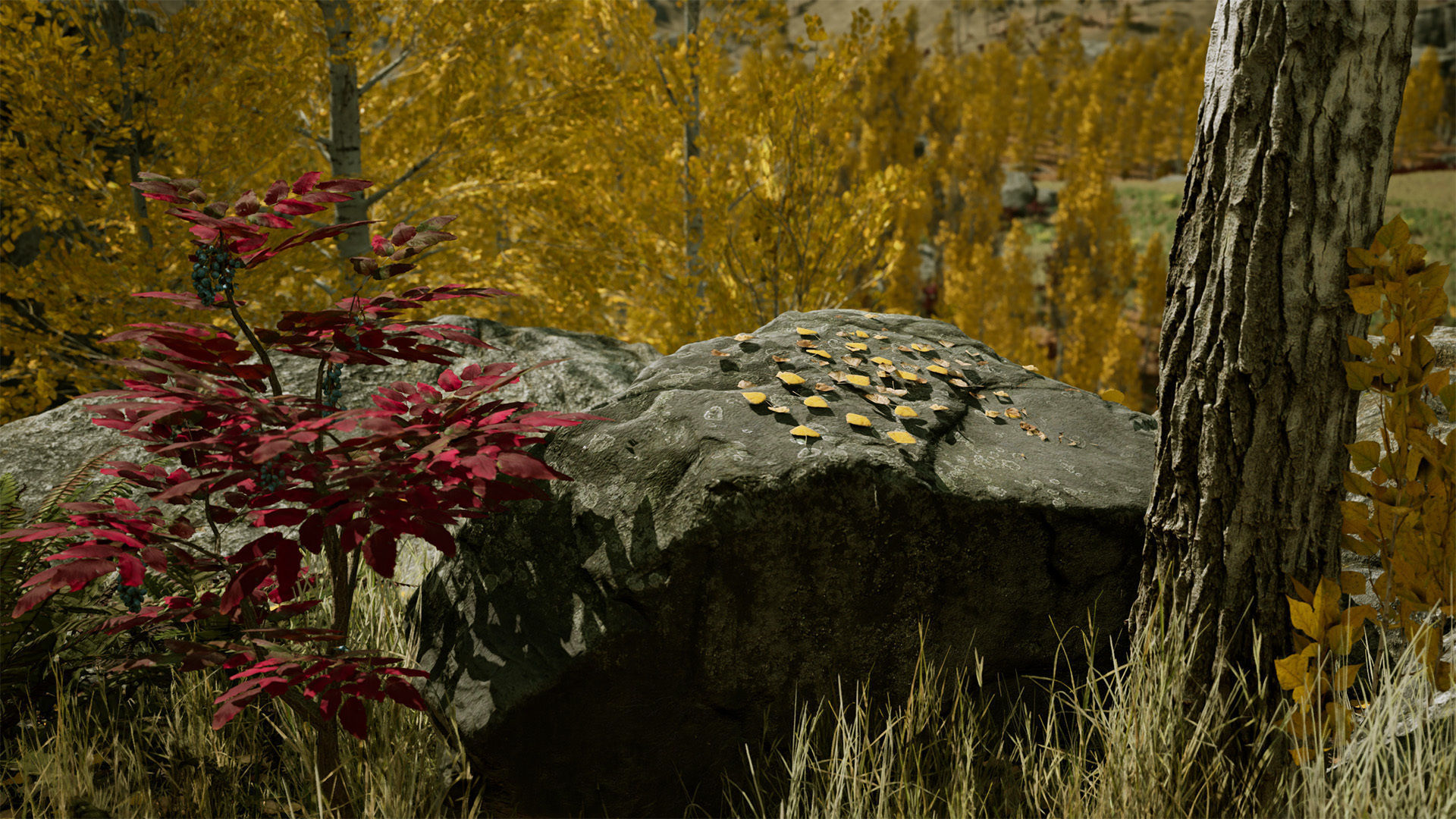 Scanned Poplar-Aspen Forest with Seasons for Unreal Engine 4 - 5 Low-poly 3D model_15