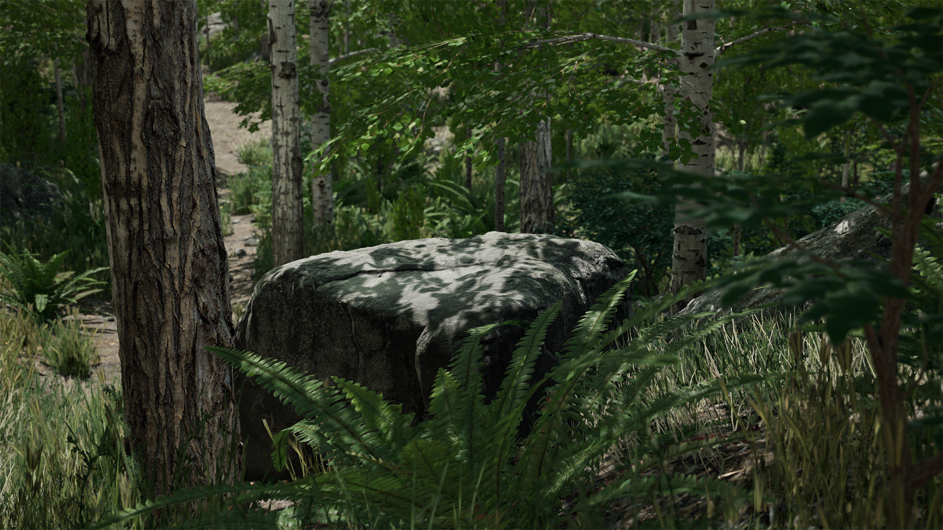 Scanned Poplar-Aspen Forest with Seasons for Unreal Engine 4 - 5 Low-poly 3D model_10