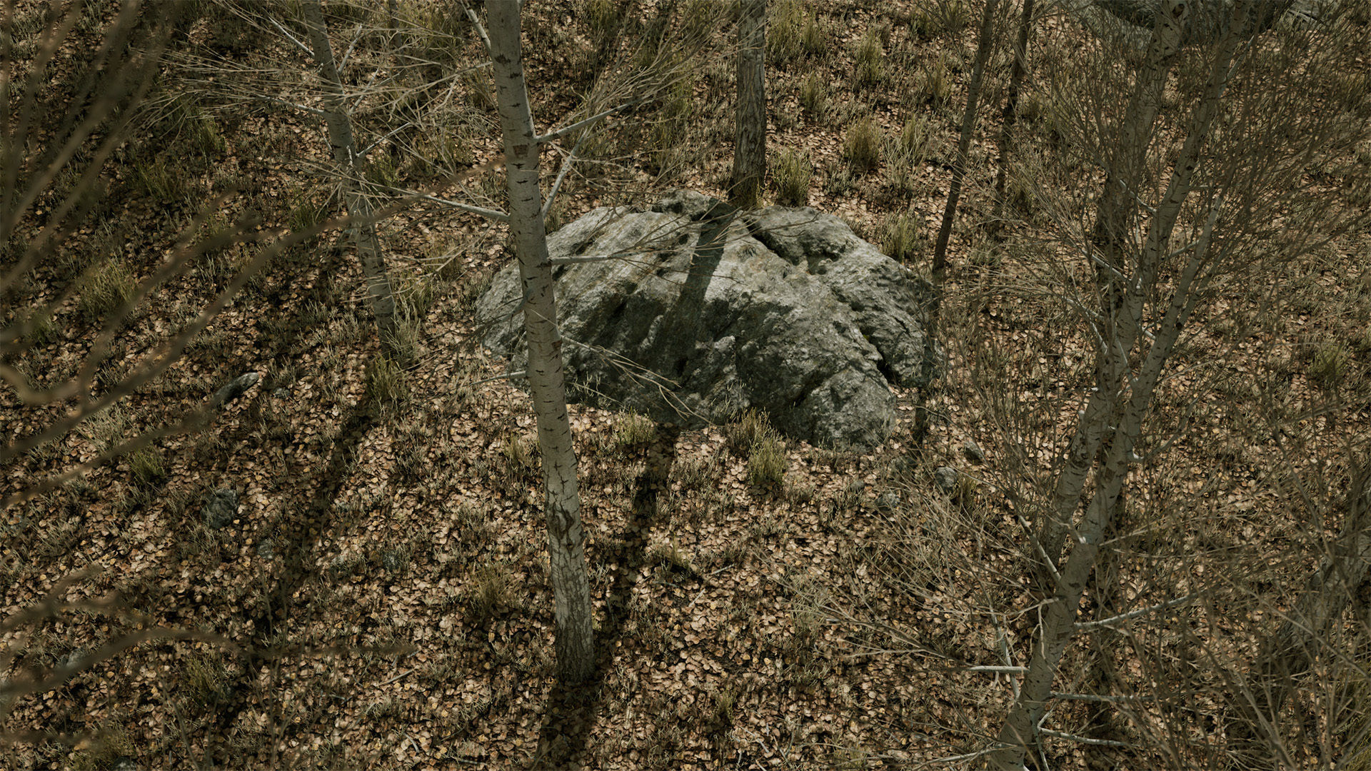 Scanned Poplar-Aspen Forest with Seasons for Unreal Engine 4 - 5 Low-poly 3D model_20