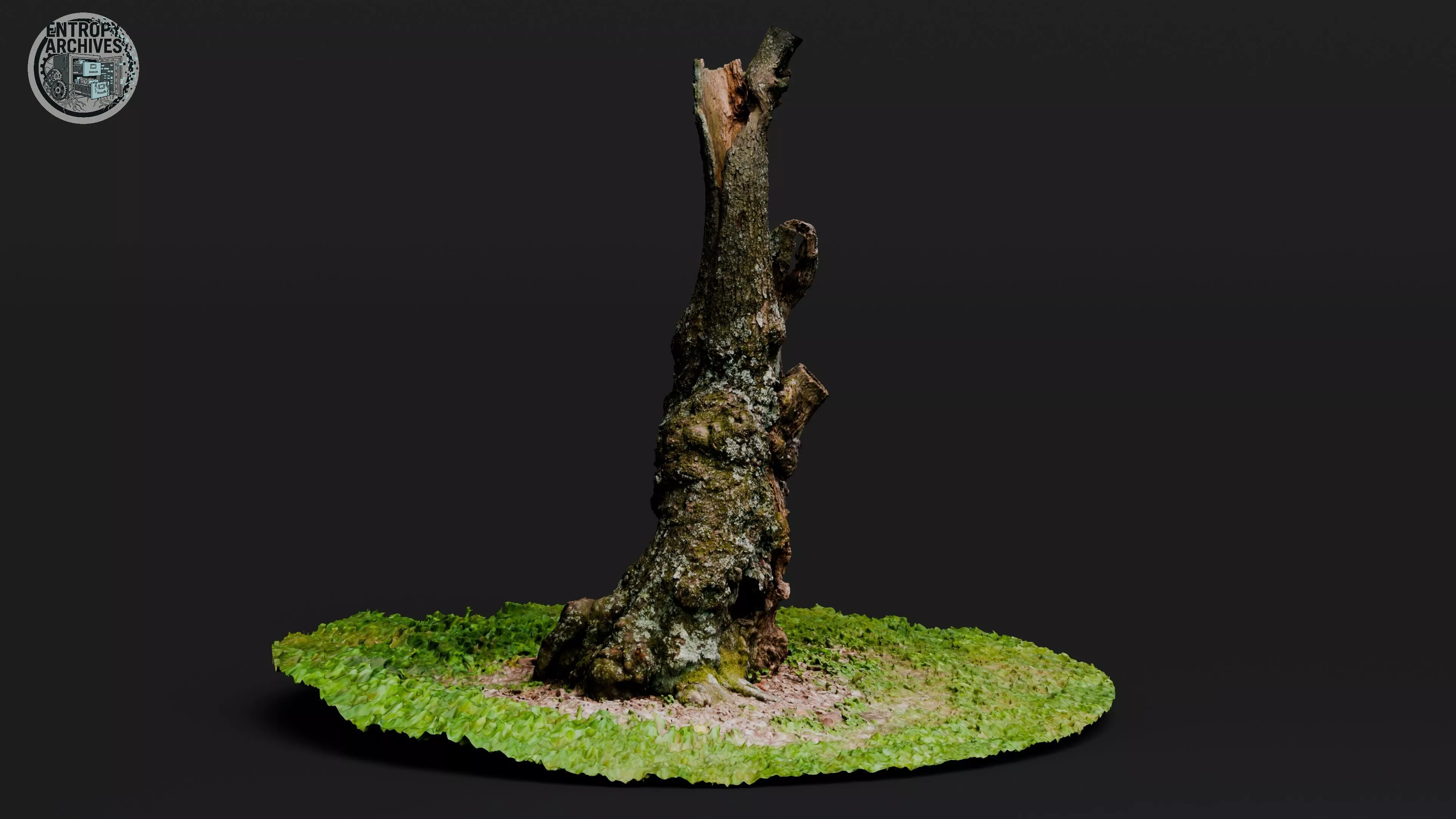 Decaying Hollow Tree Trunk - 16K High Poly Source 3D model