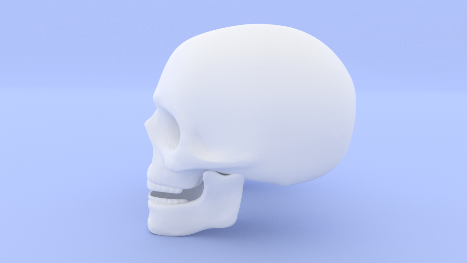 Skull two skulls Low-poly 3D model_3