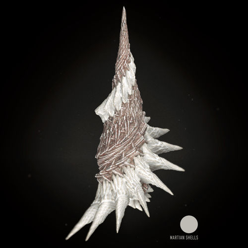Martian Shell Tusk 3D Model 3D print model