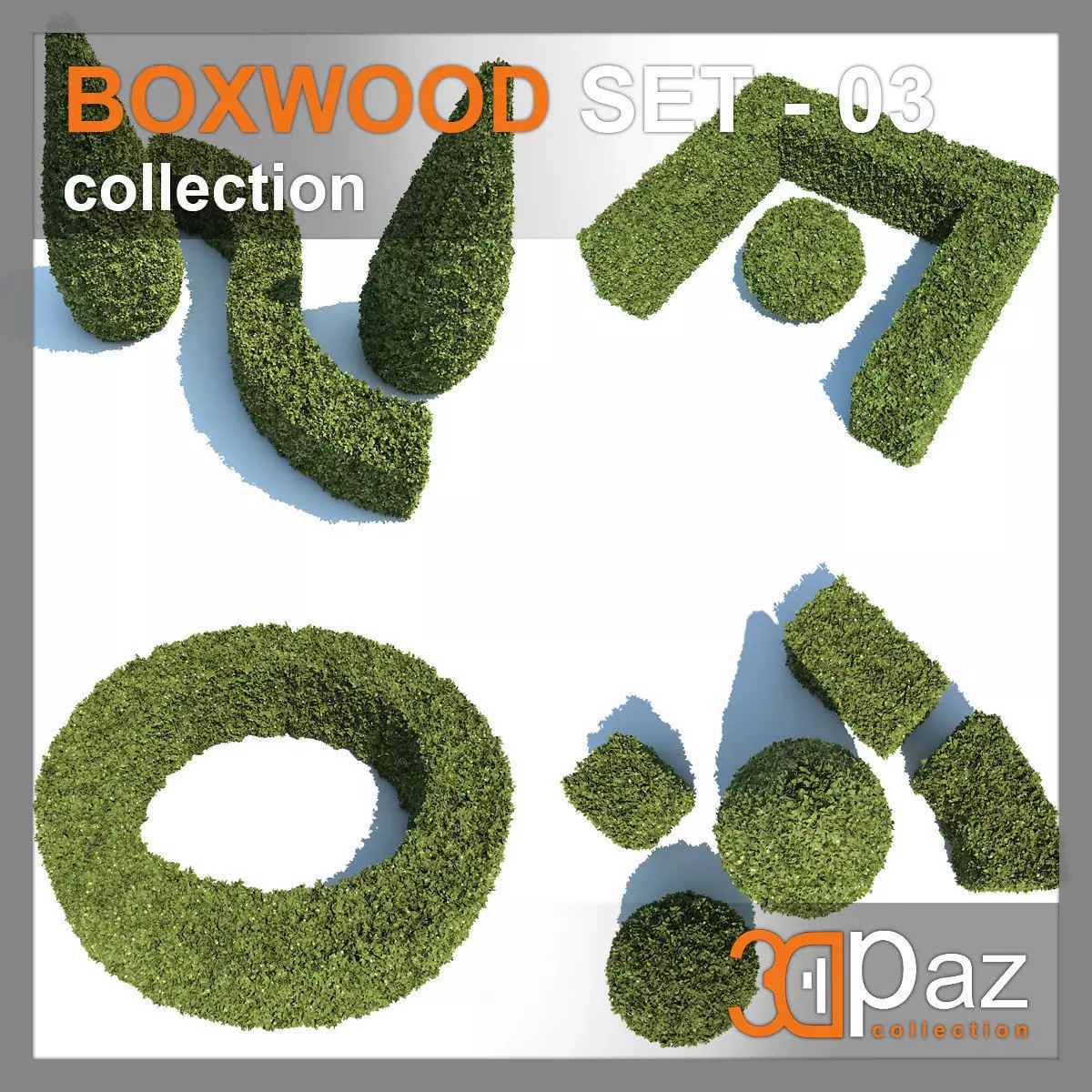 Boxwood - Set-3 three topiary plants 3D model_0
