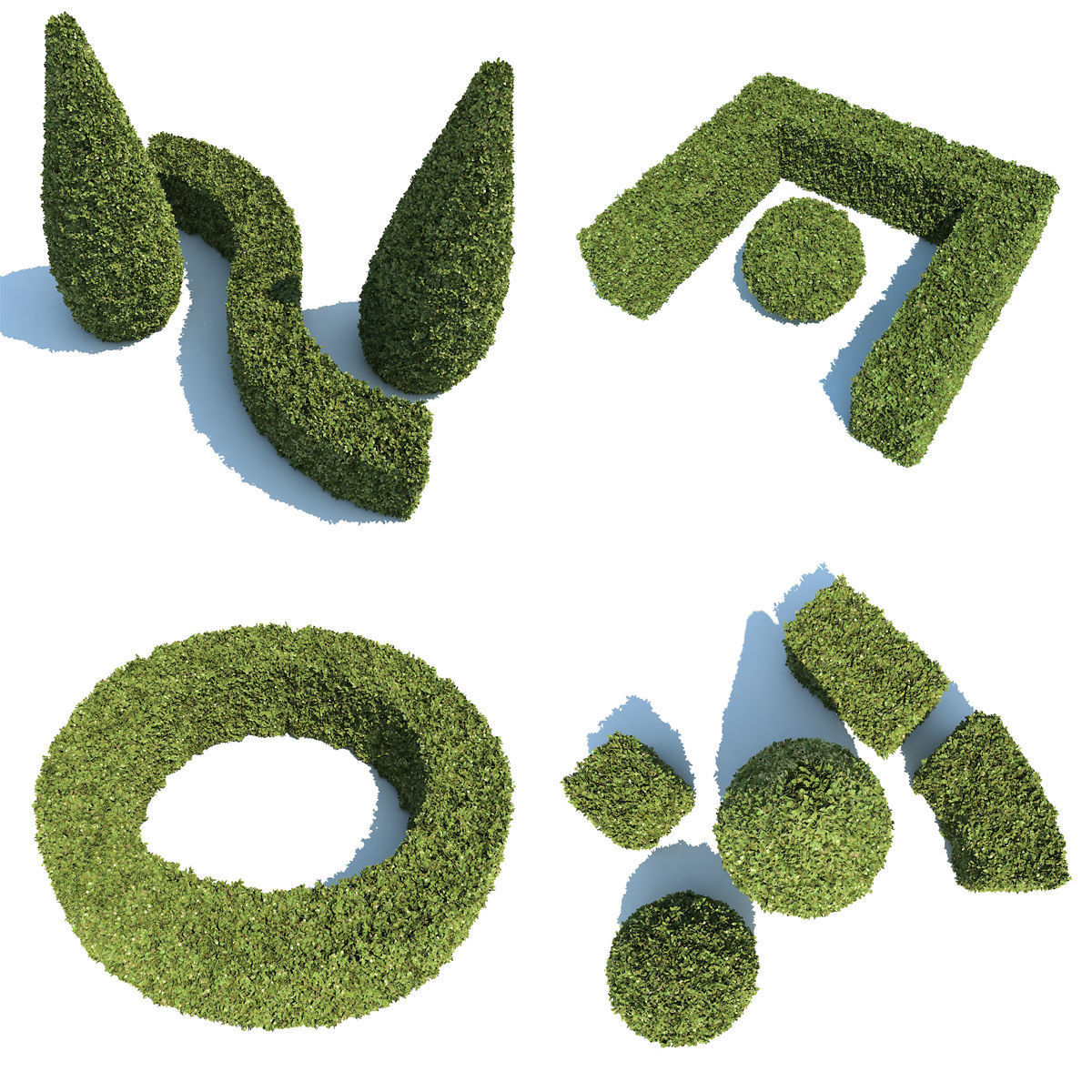 Boxwood - Set-3 three topiary plants 3D model_7