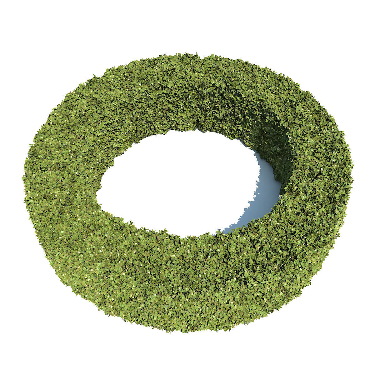 Boxwood - Set-3 three topiary plants 3D model_6