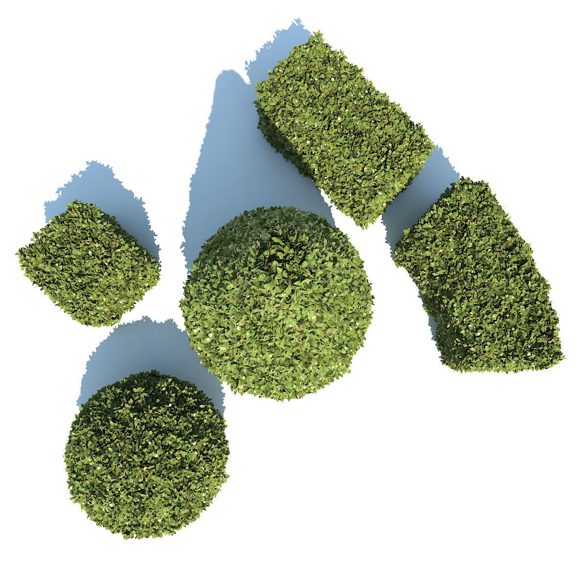 Boxwood - Set-3 three topiary plants 3D model_3