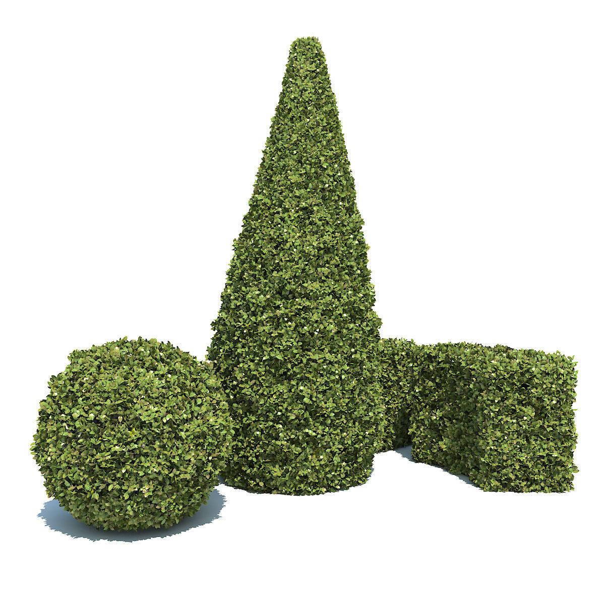 Boxwood - Set-3 three topiary plants 3D model_1