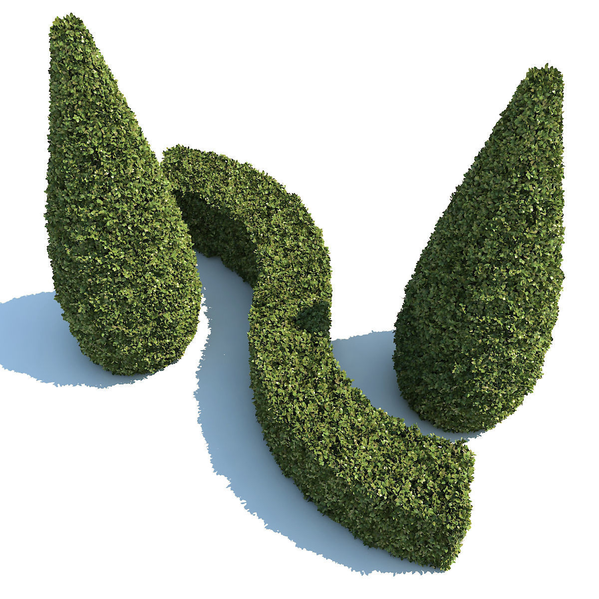 Boxwood - Set-3 three topiary plants 3D model_5