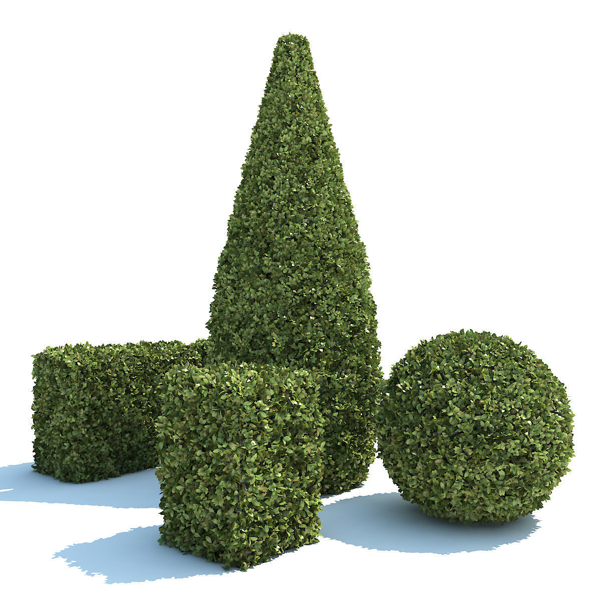 Boxwood - Set-3 three topiary plants 3D model_2