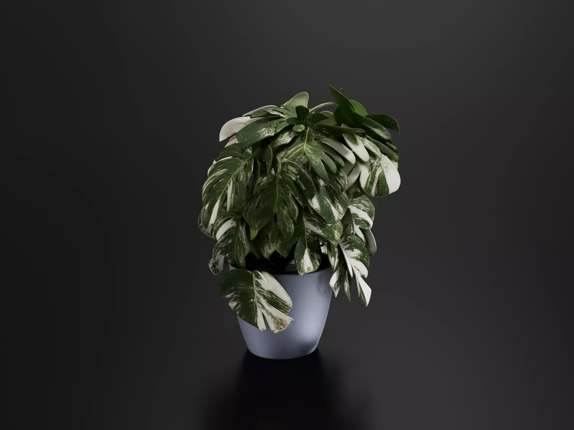 Monstera Cheese Plant Pot 01 3D print model