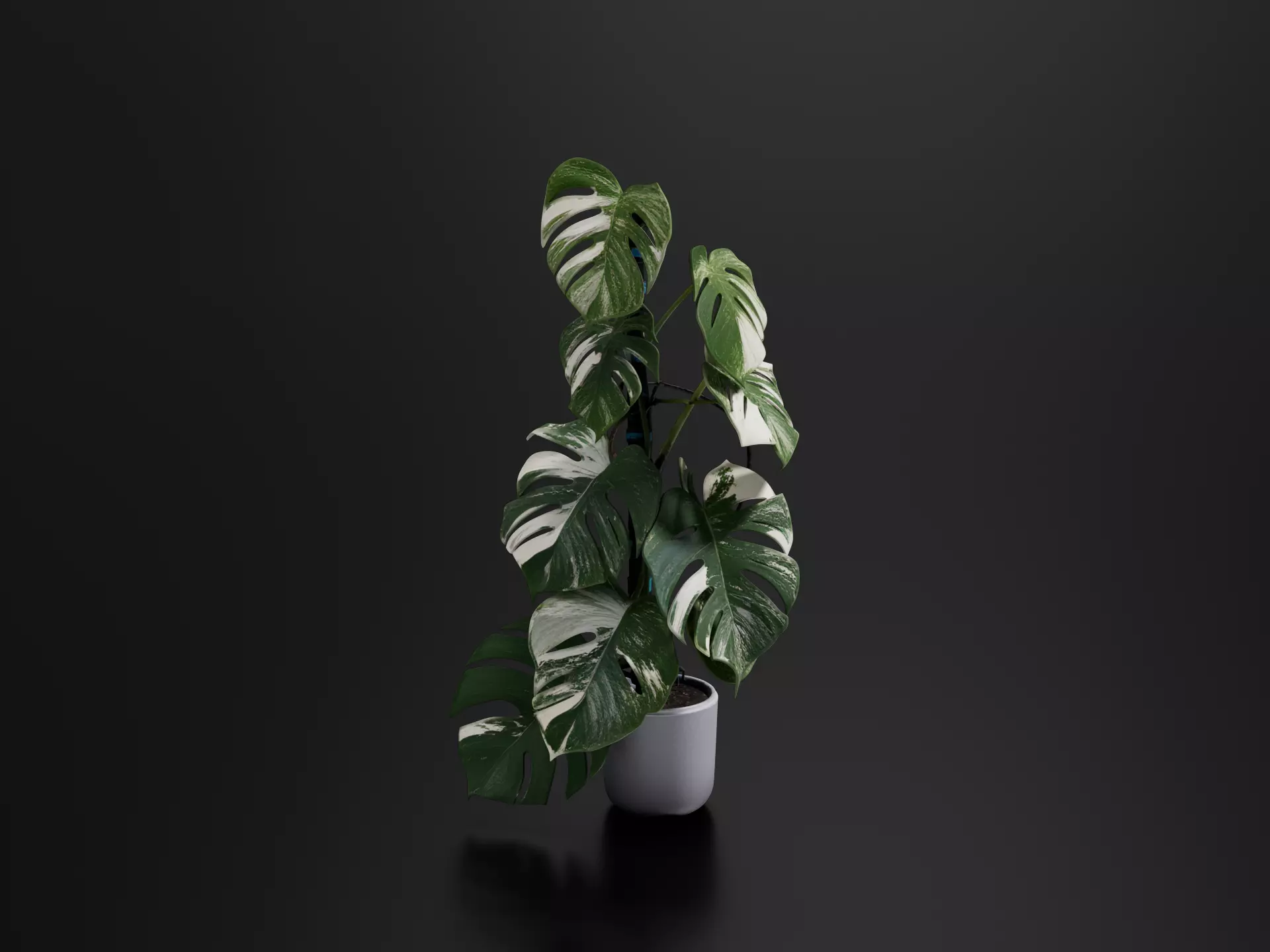 Monstera Cheese Plant Pot 010 3D print model