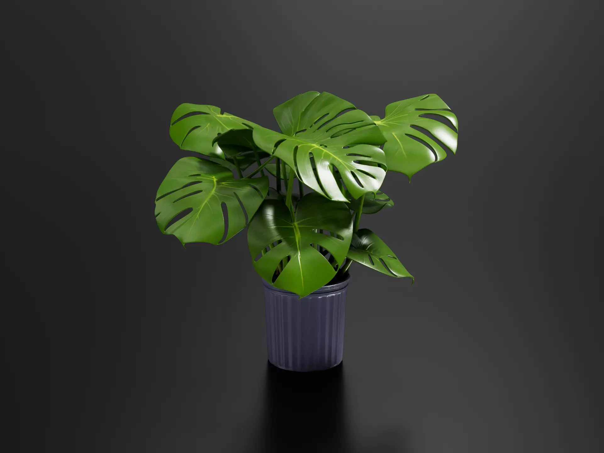 Monstera Cheese Plant Pot 08 3D print model