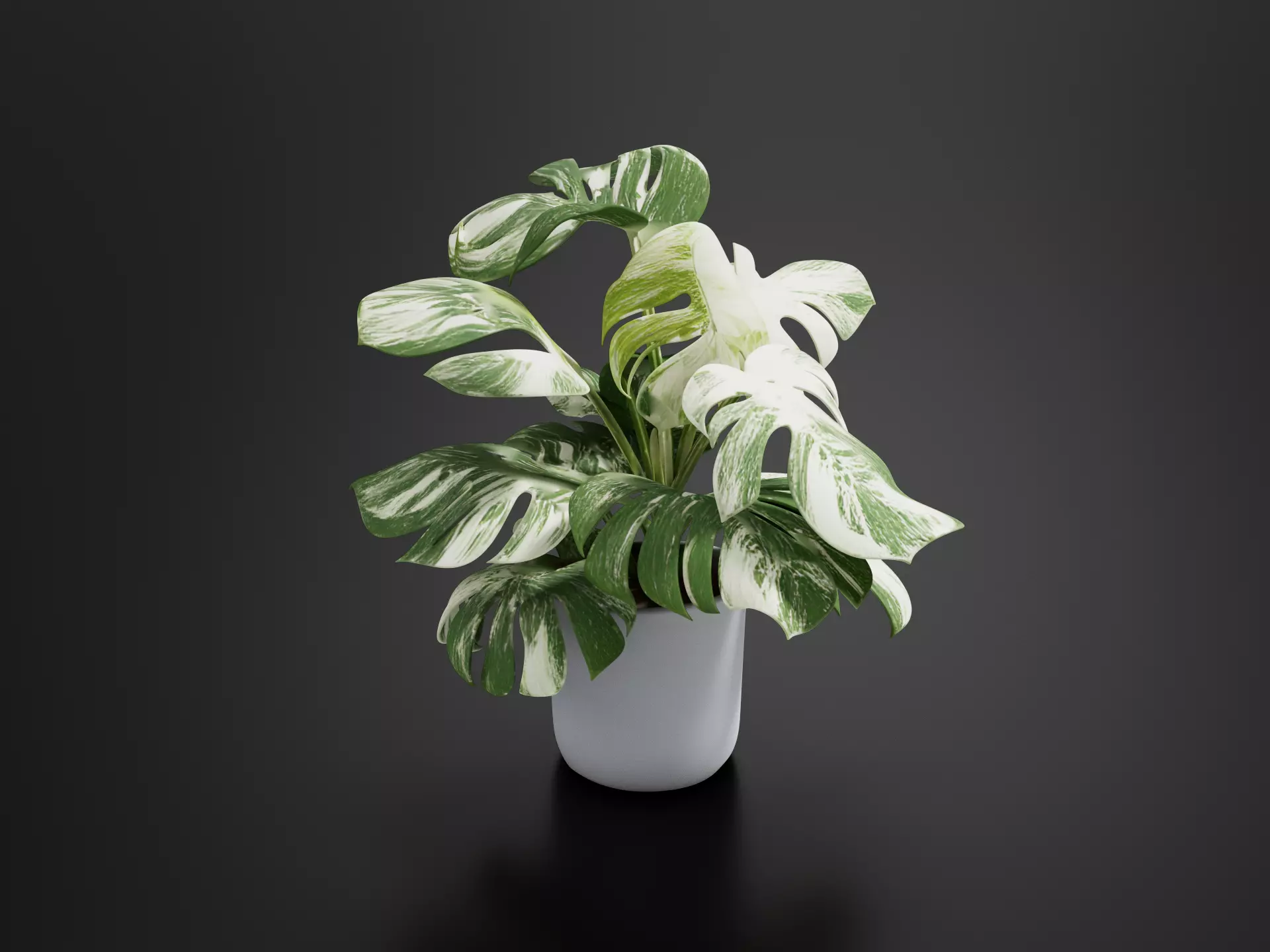 Monstera Cheese Plant Pot 09 3D print model