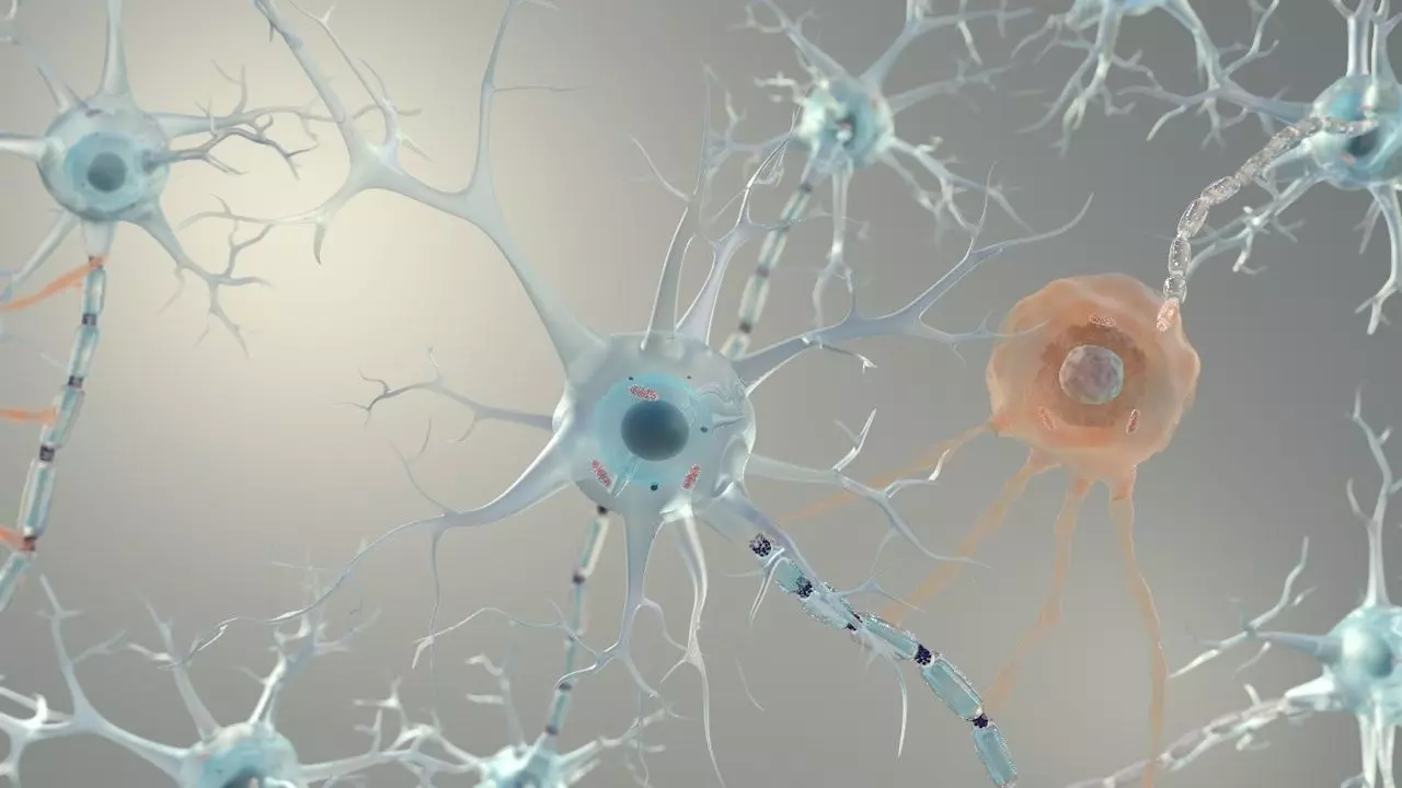 Brain Neurons for Cinema 4d 3D model