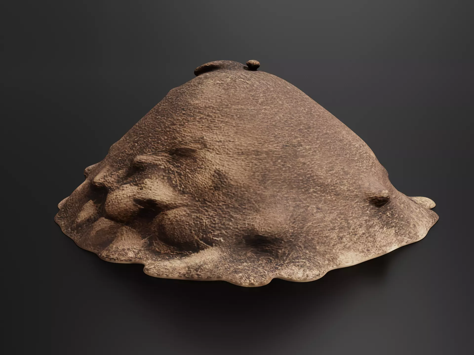 Mound Of Dirt 02 3D print model