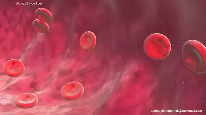 rbc blood cell 3D model