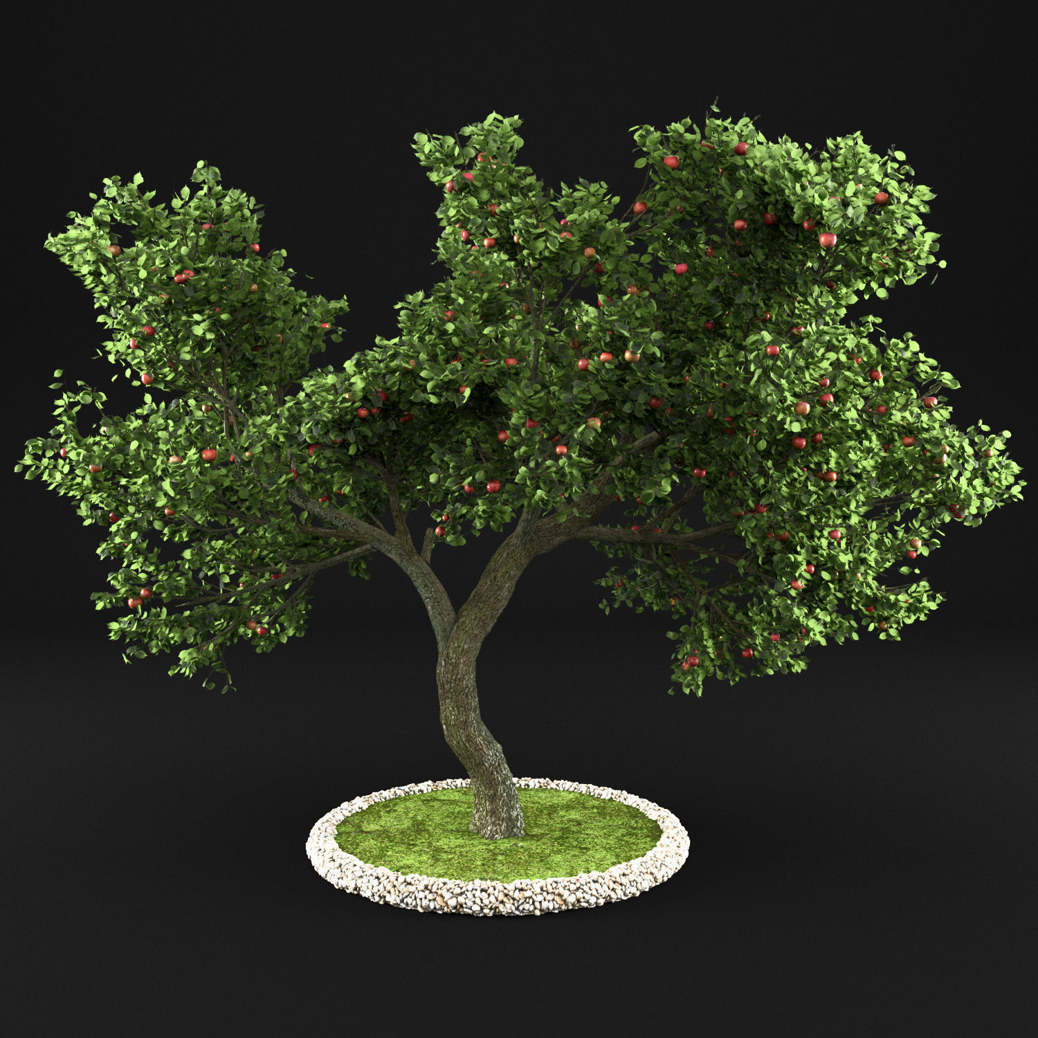 Apple tree 3D model_2