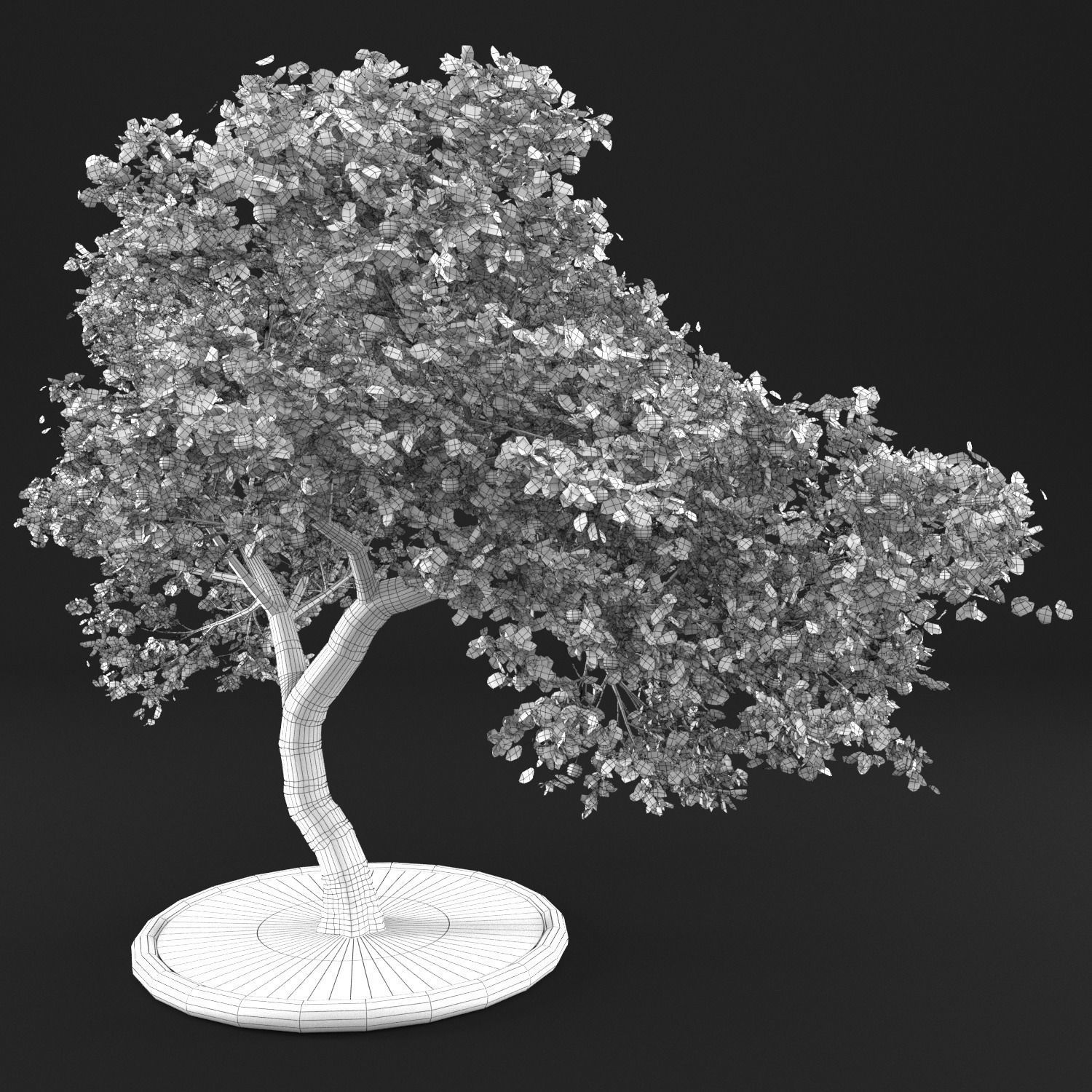 Apple tree 3D model_9