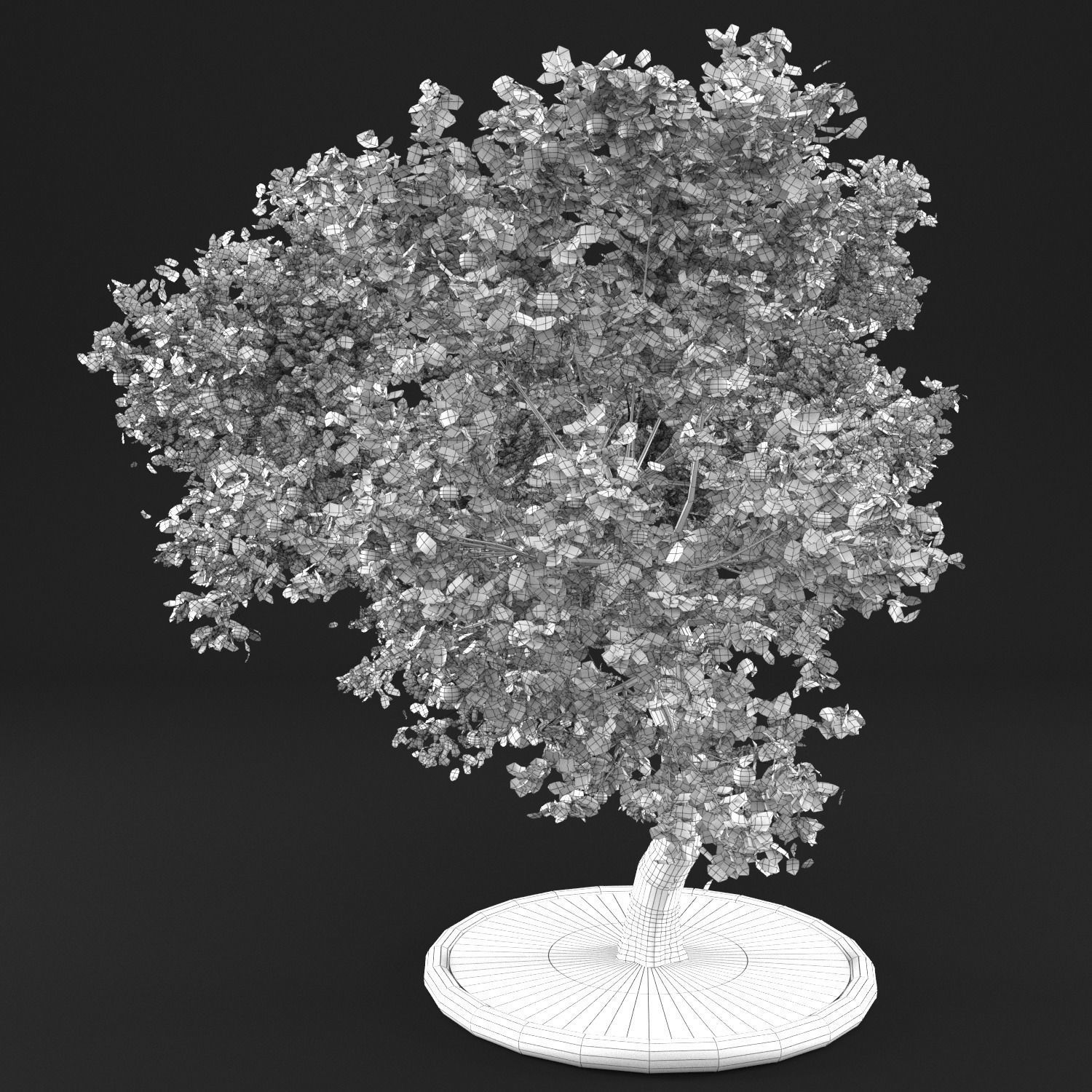 Apple tree 3D model_15