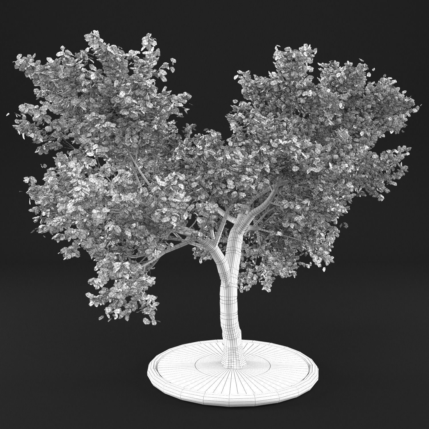 Apple tree 3D model_10