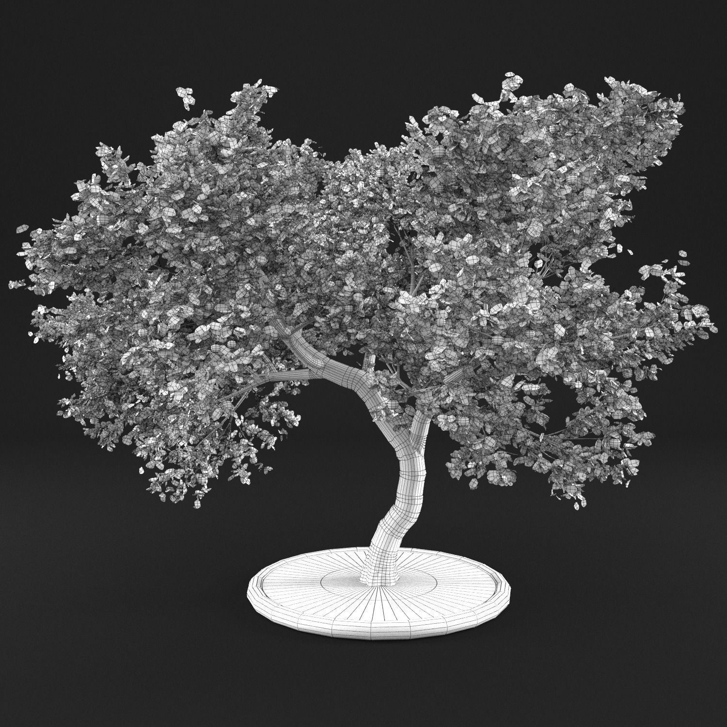 Apple tree 3D model_14