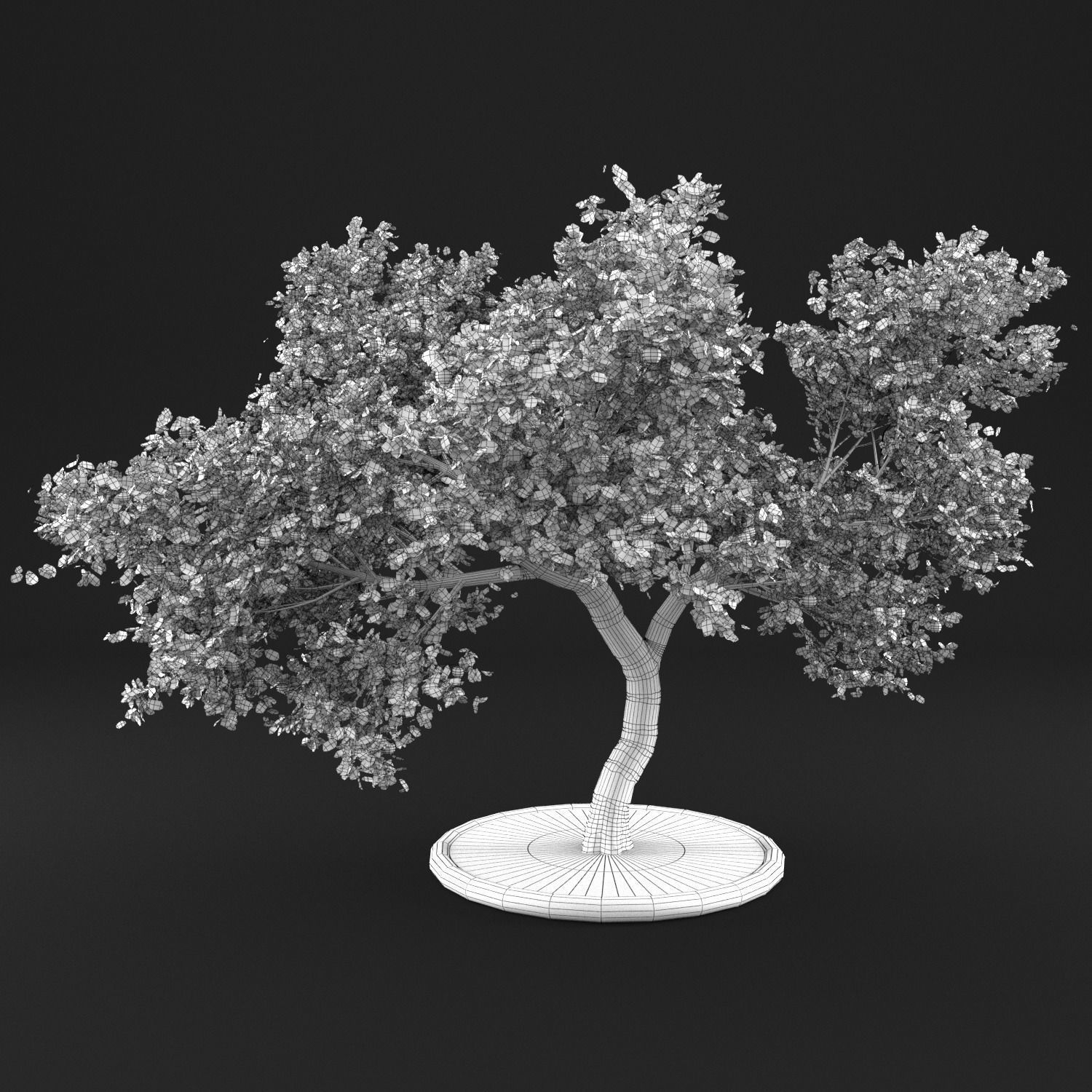 Apple tree 3D model_11