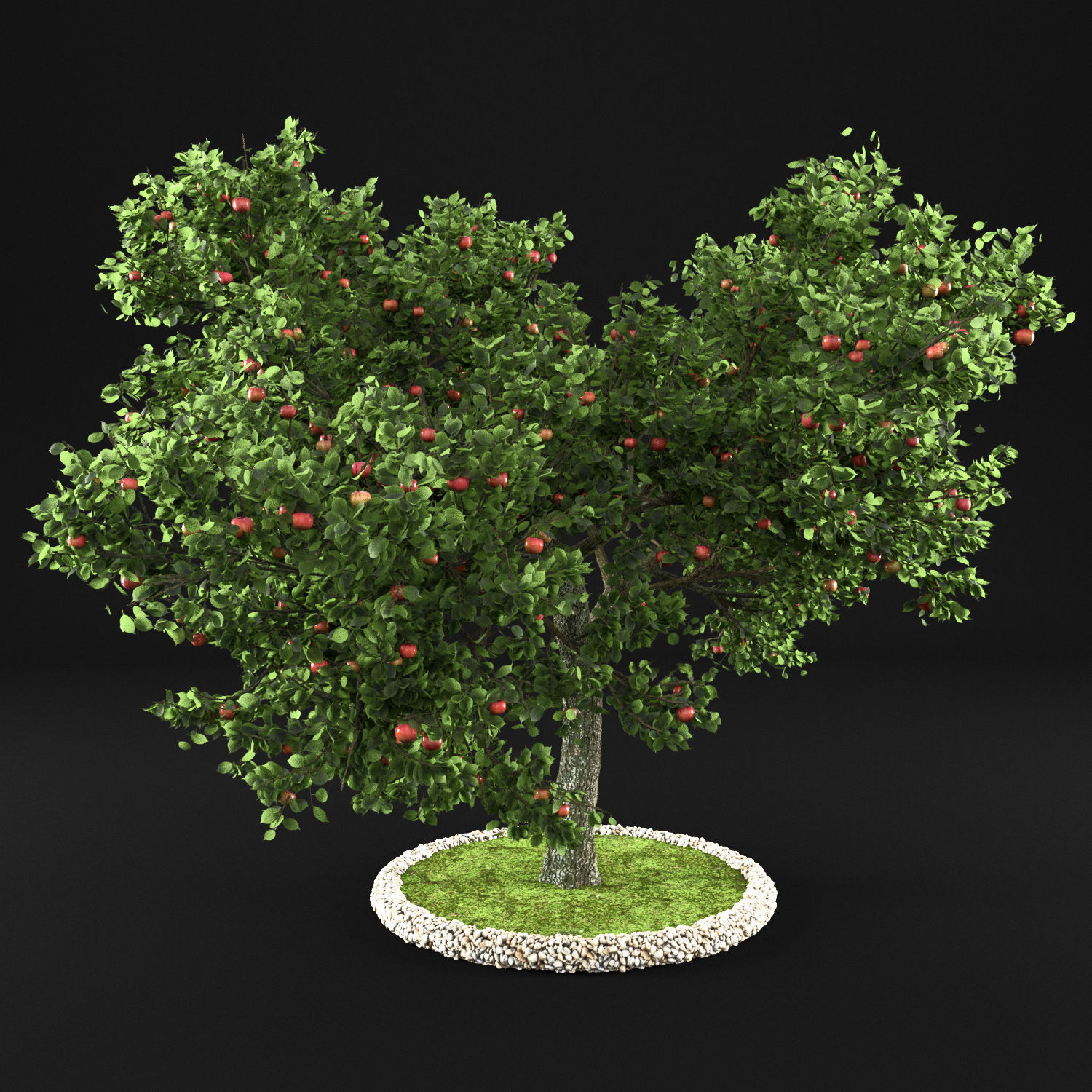 Apple tree 3D model_4