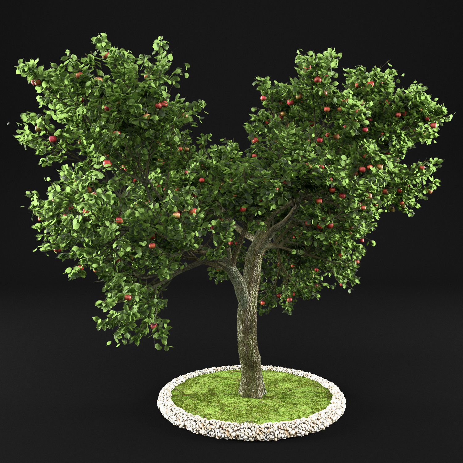 Apple tree 3D model_5