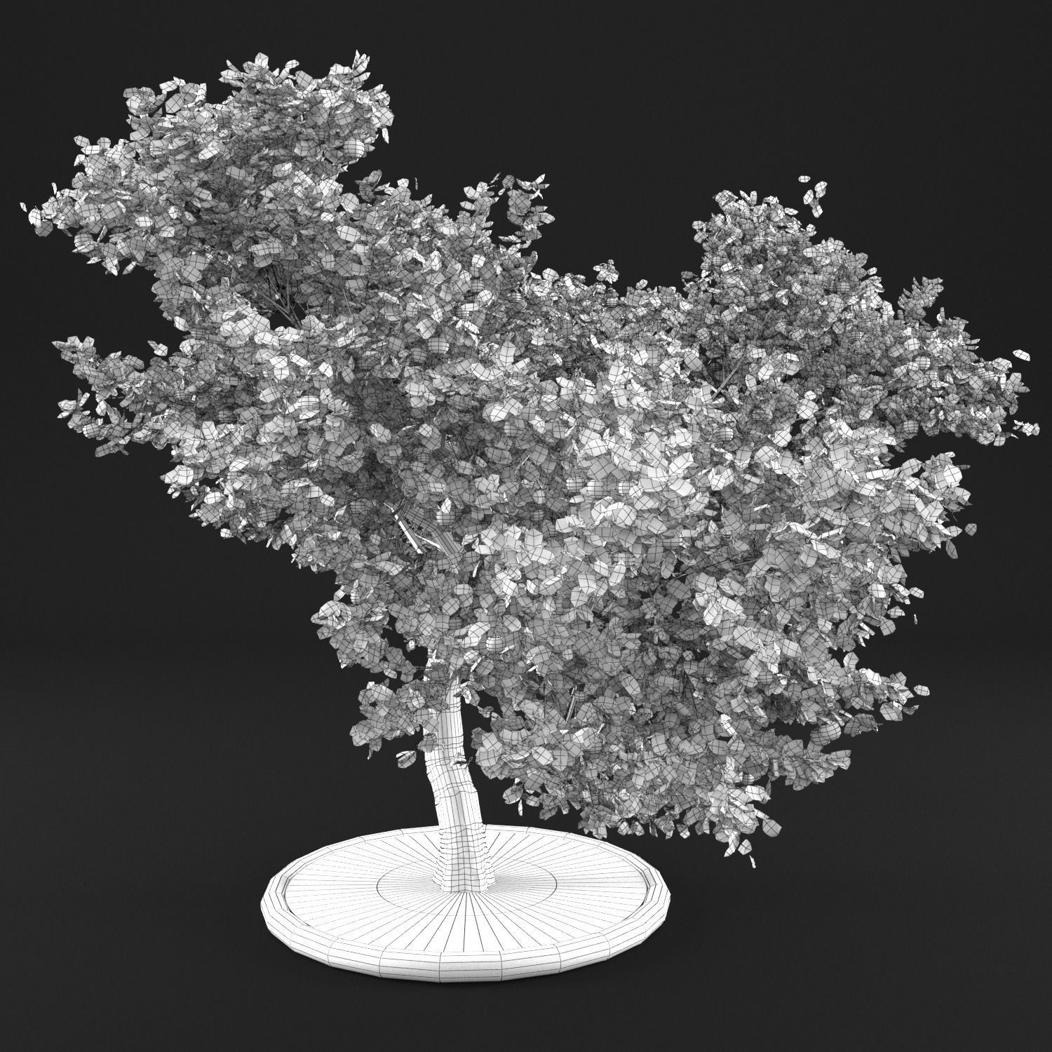 Apple tree 3D model_13