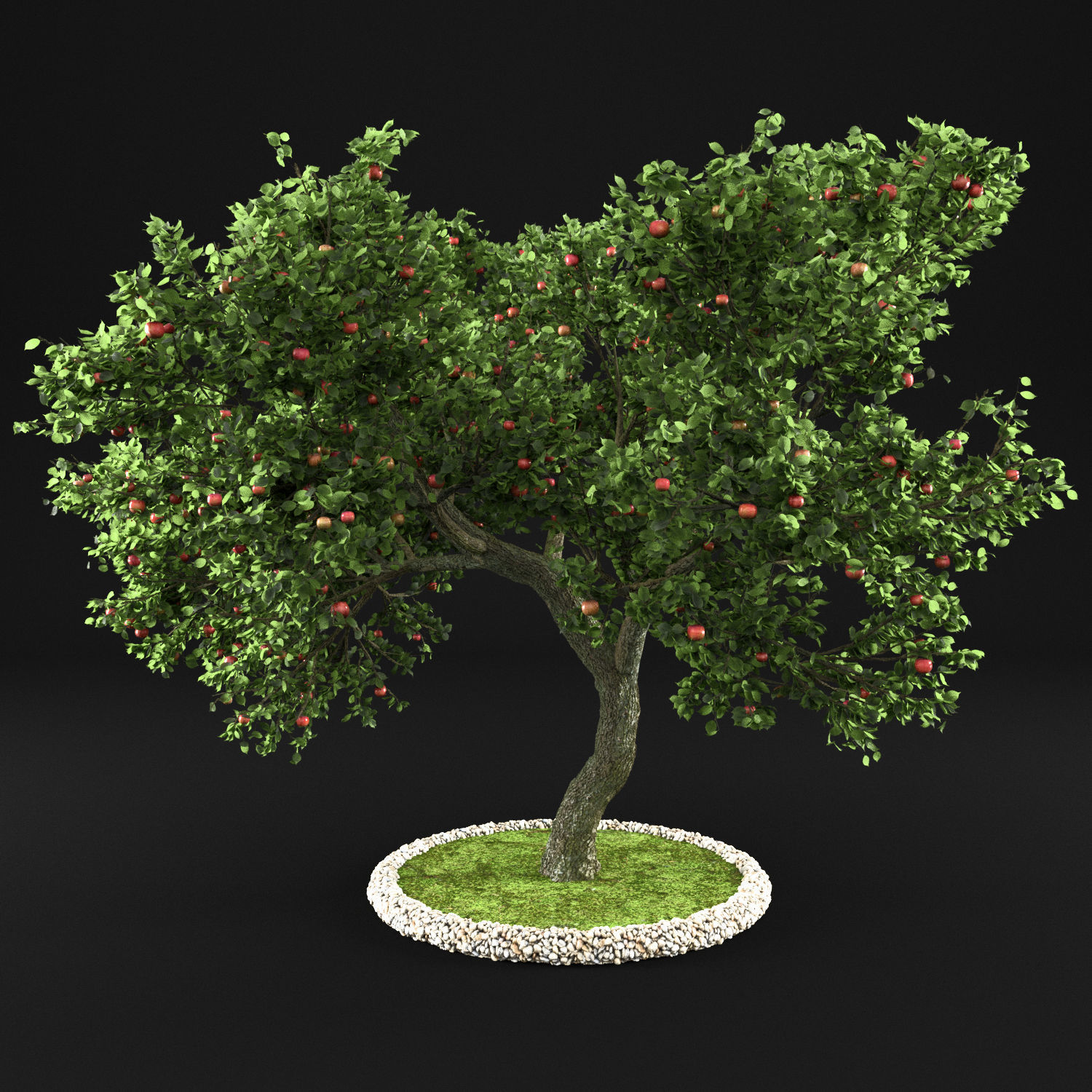 Apple tree 3D model_7