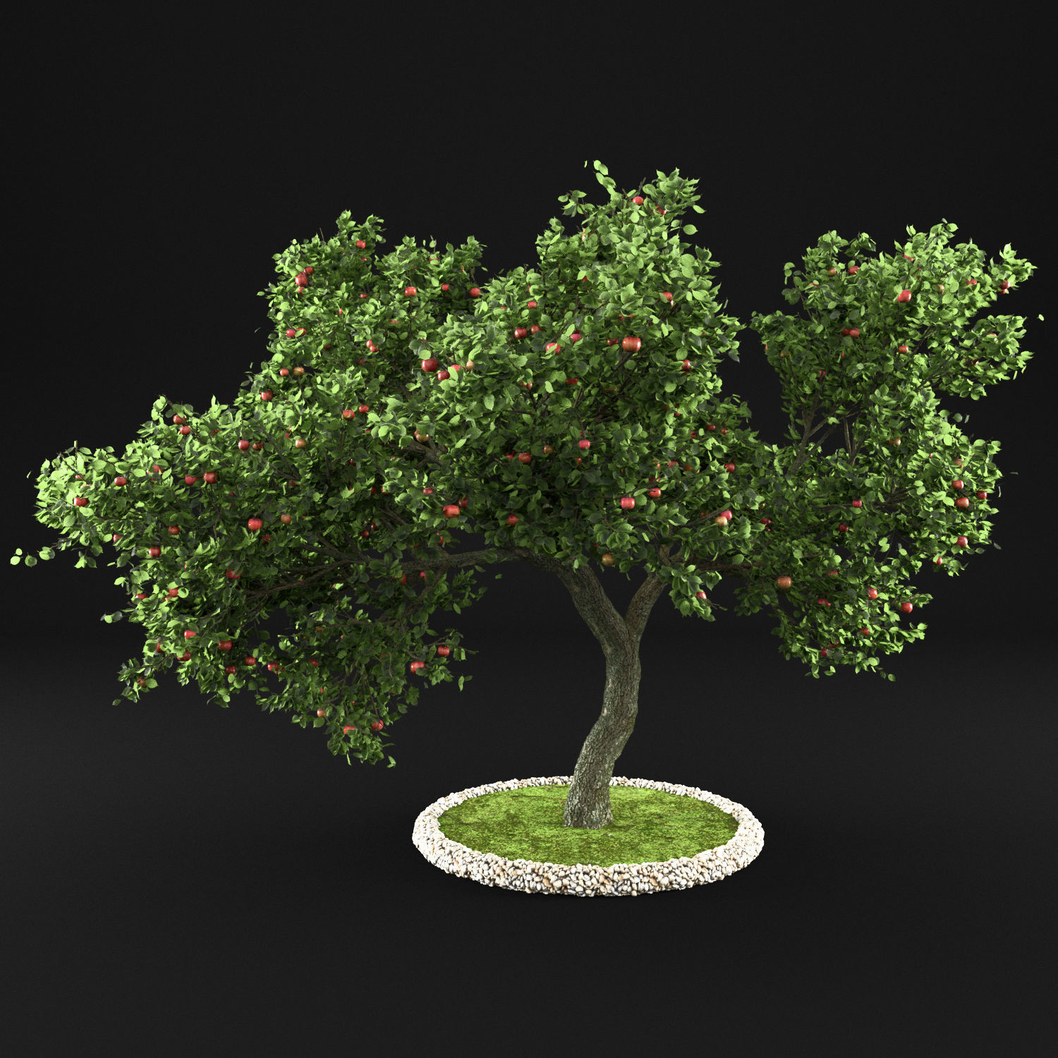 Apple tree 3D model_3