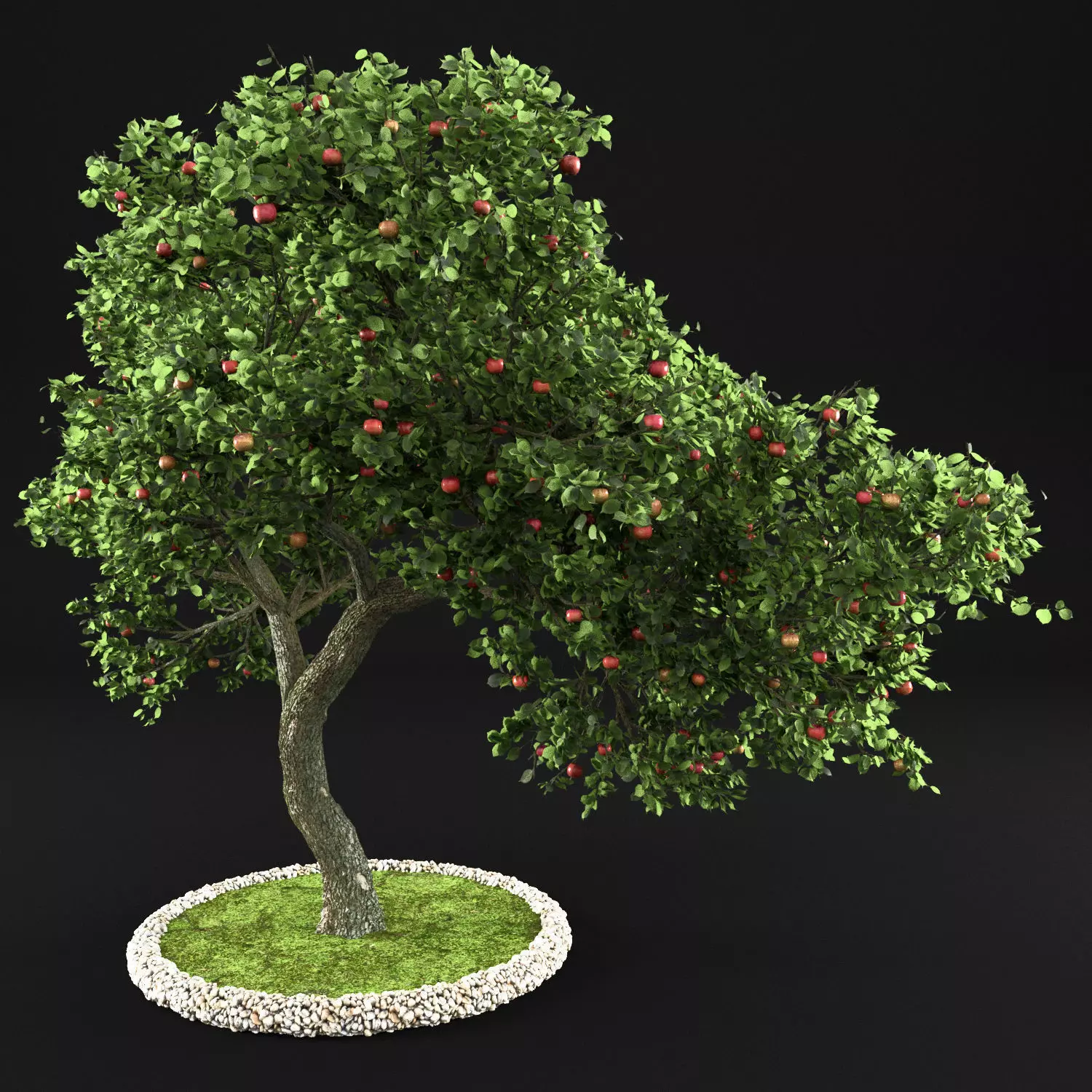 Apple tree 3D model_0