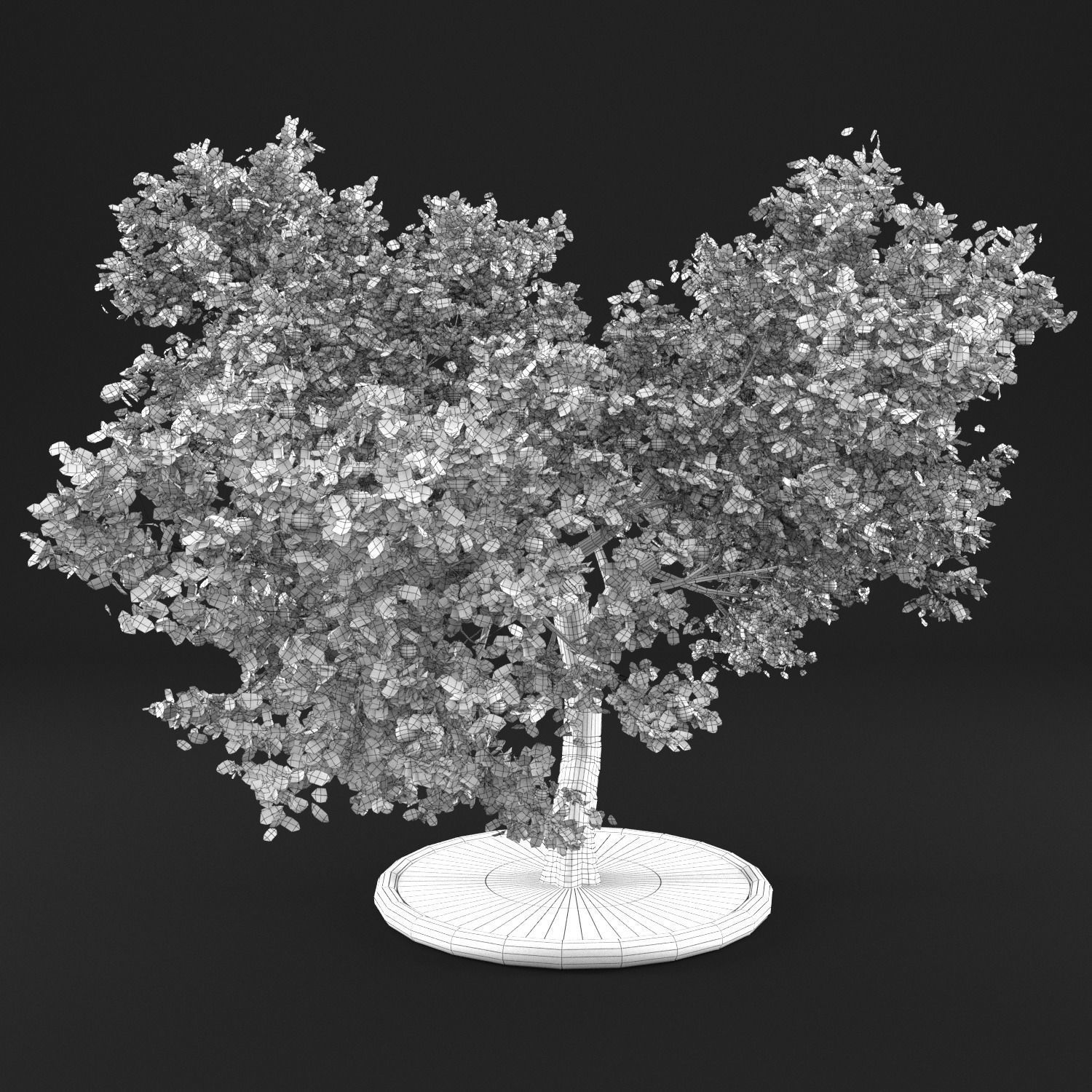 Apple tree 3D model_8