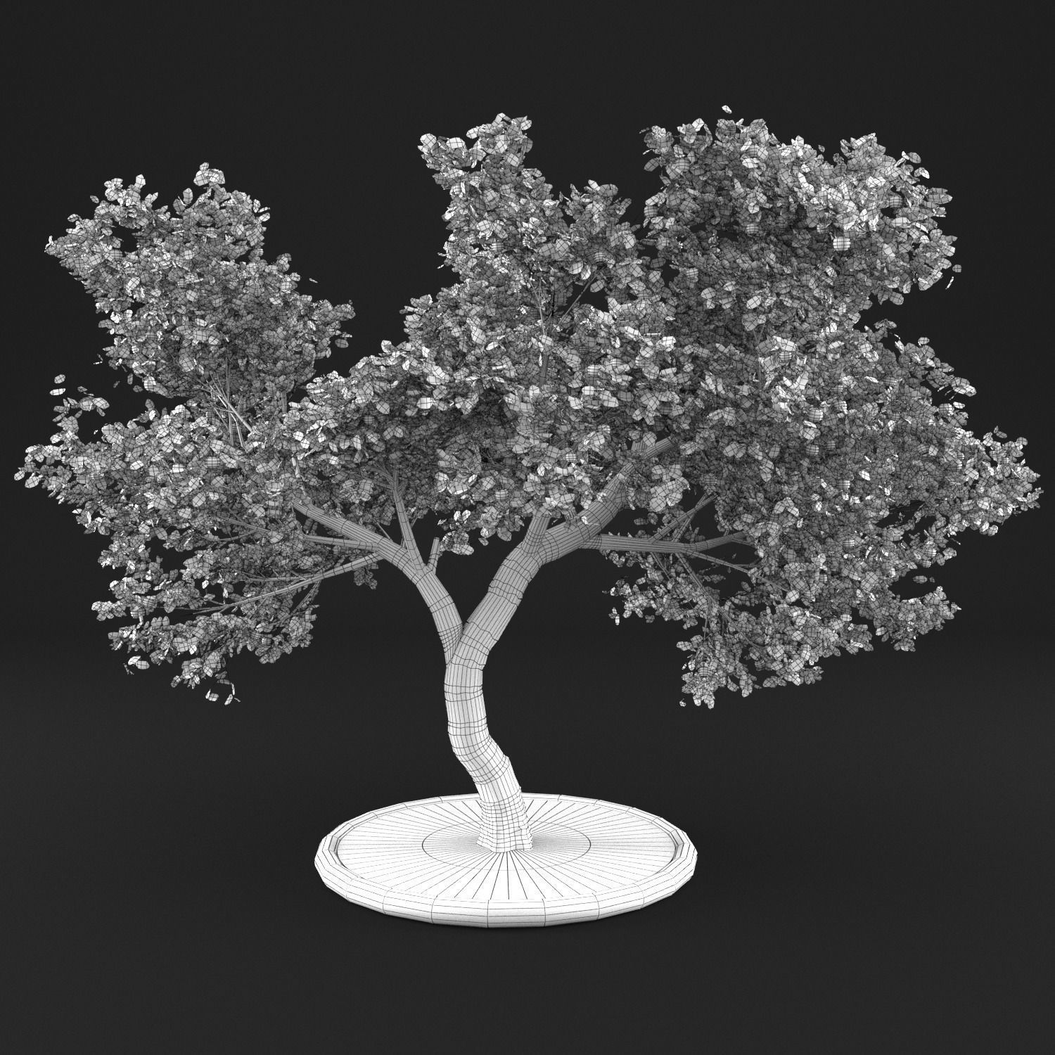 Apple tree 3D model_12
