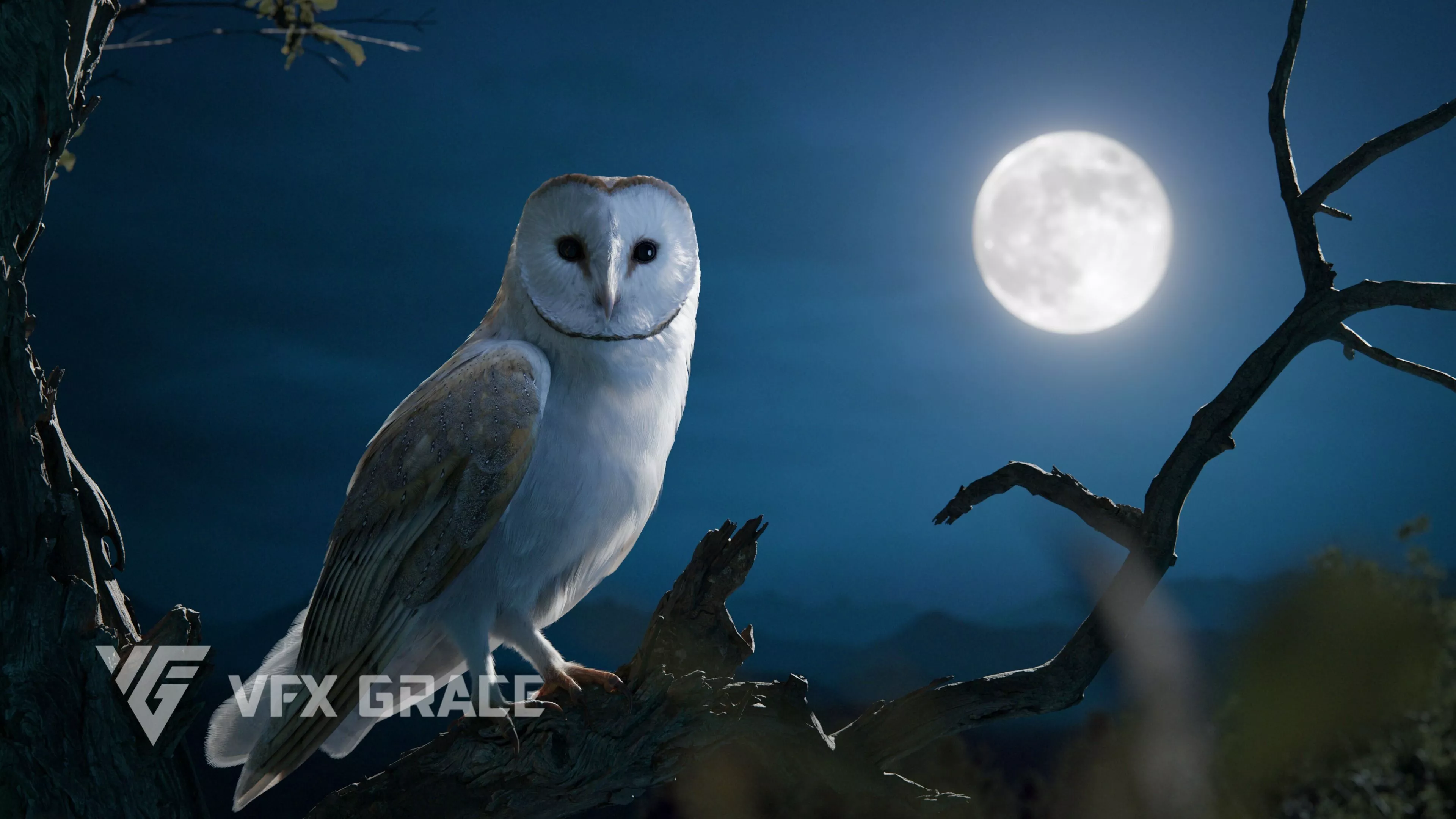 Photorealistic Barn Owl 3D Model - Blender Rigged with Fur 3D model