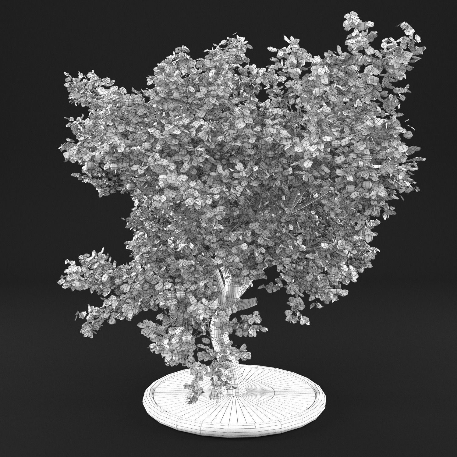 Apple Tree with Leaves 3D model_13
